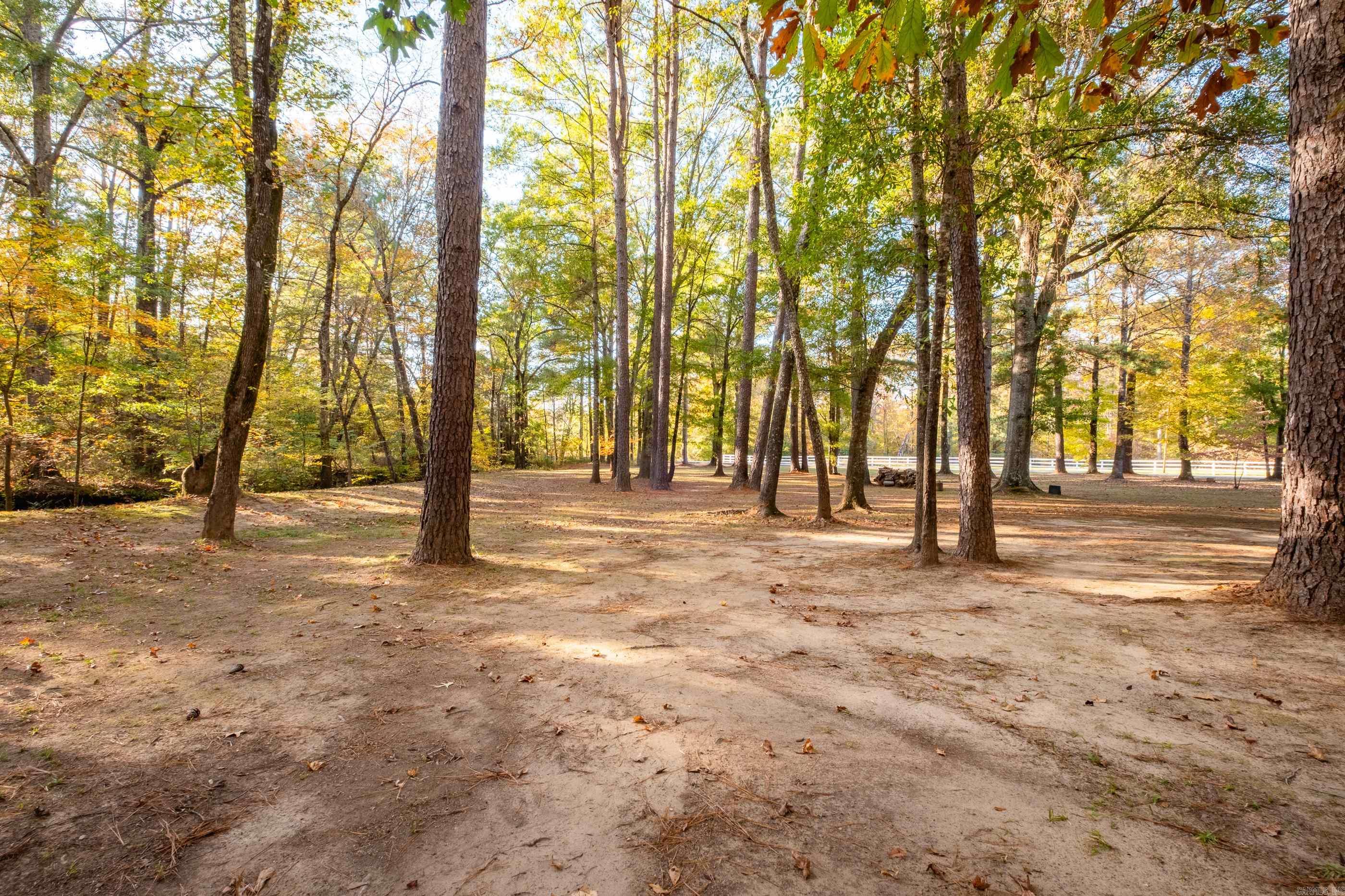 26107 Highway 300 Roland, AR 72135