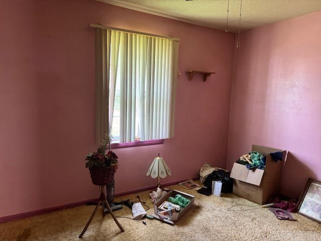 119 W Johnson  Flippin, AR