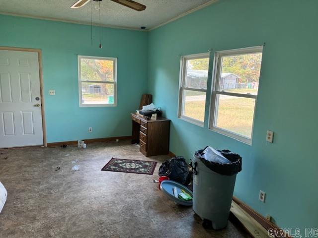 119 W Johnson  Flippin, AR