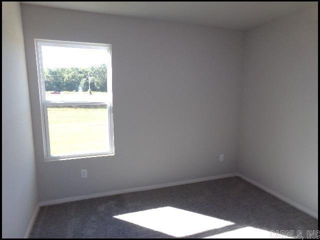 1817 Tiger Lily  North Little Rock, AR