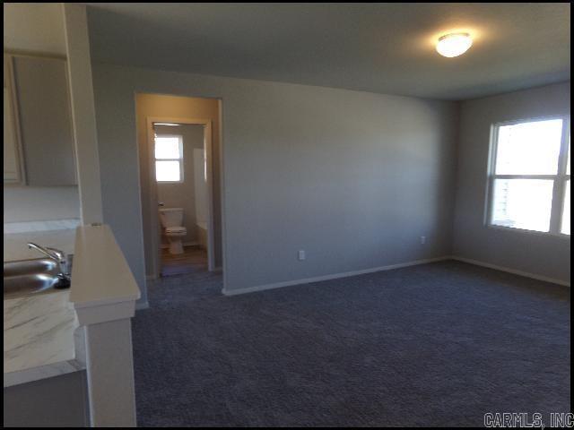 1817 Tiger Lily  North Little Rock, AR