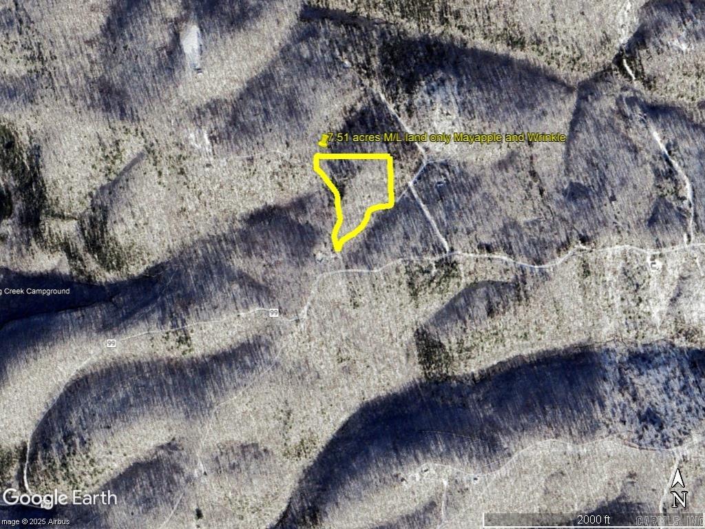 229 Mayapple  Harriet, AR