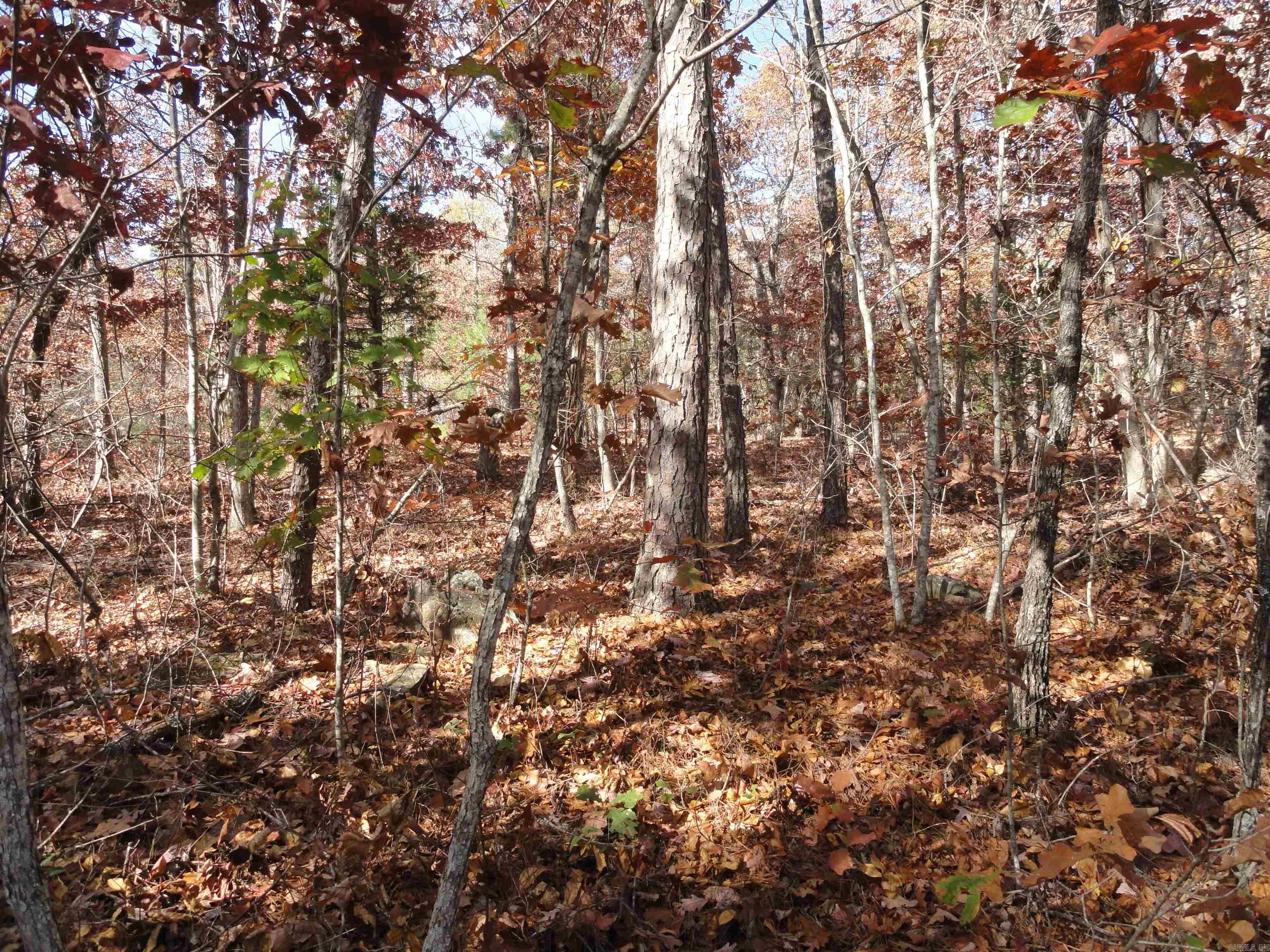 229 Mayapple  Harriet, AR