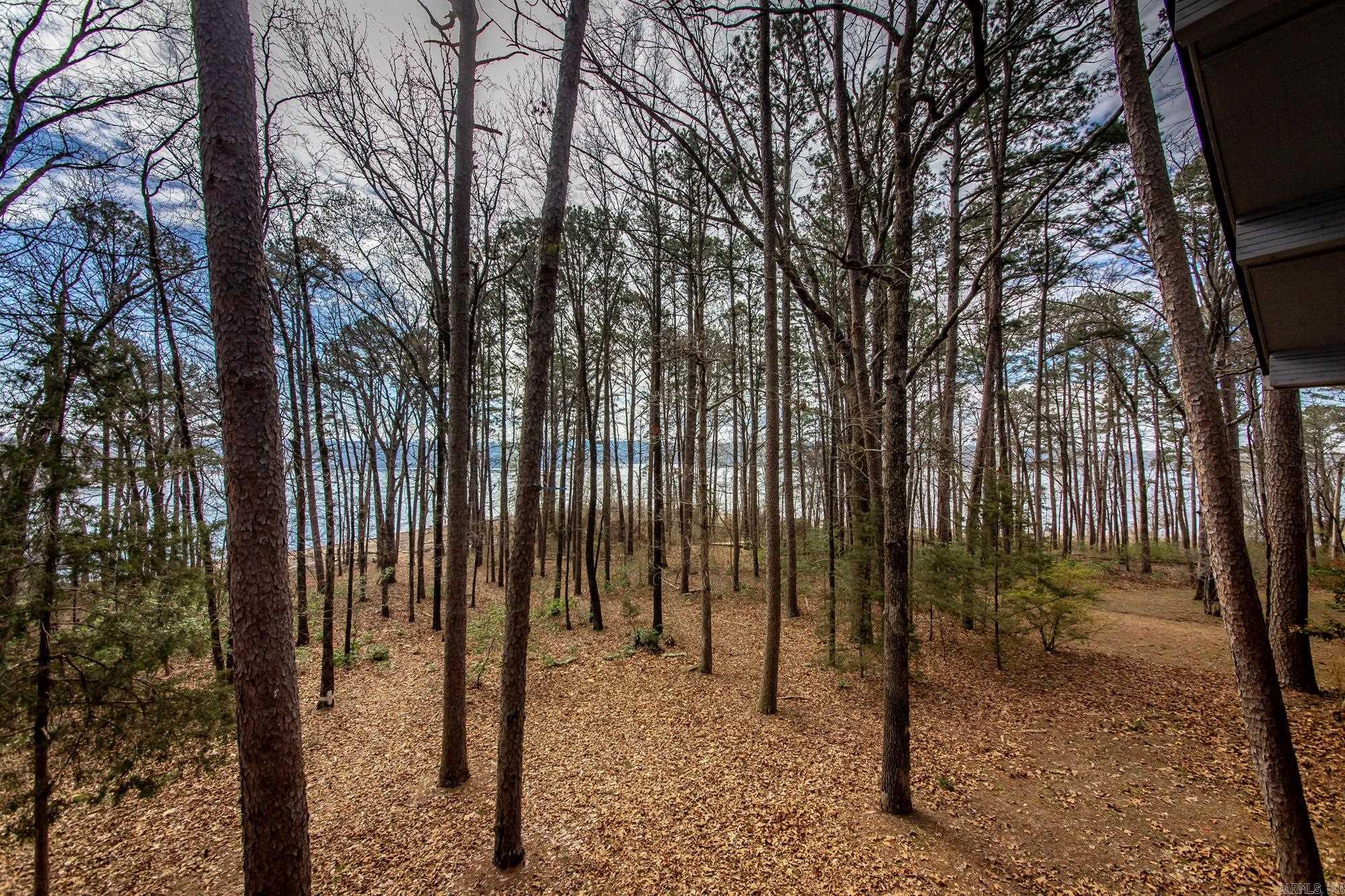 324 Valhalla Drive Edgemont, AR 72044