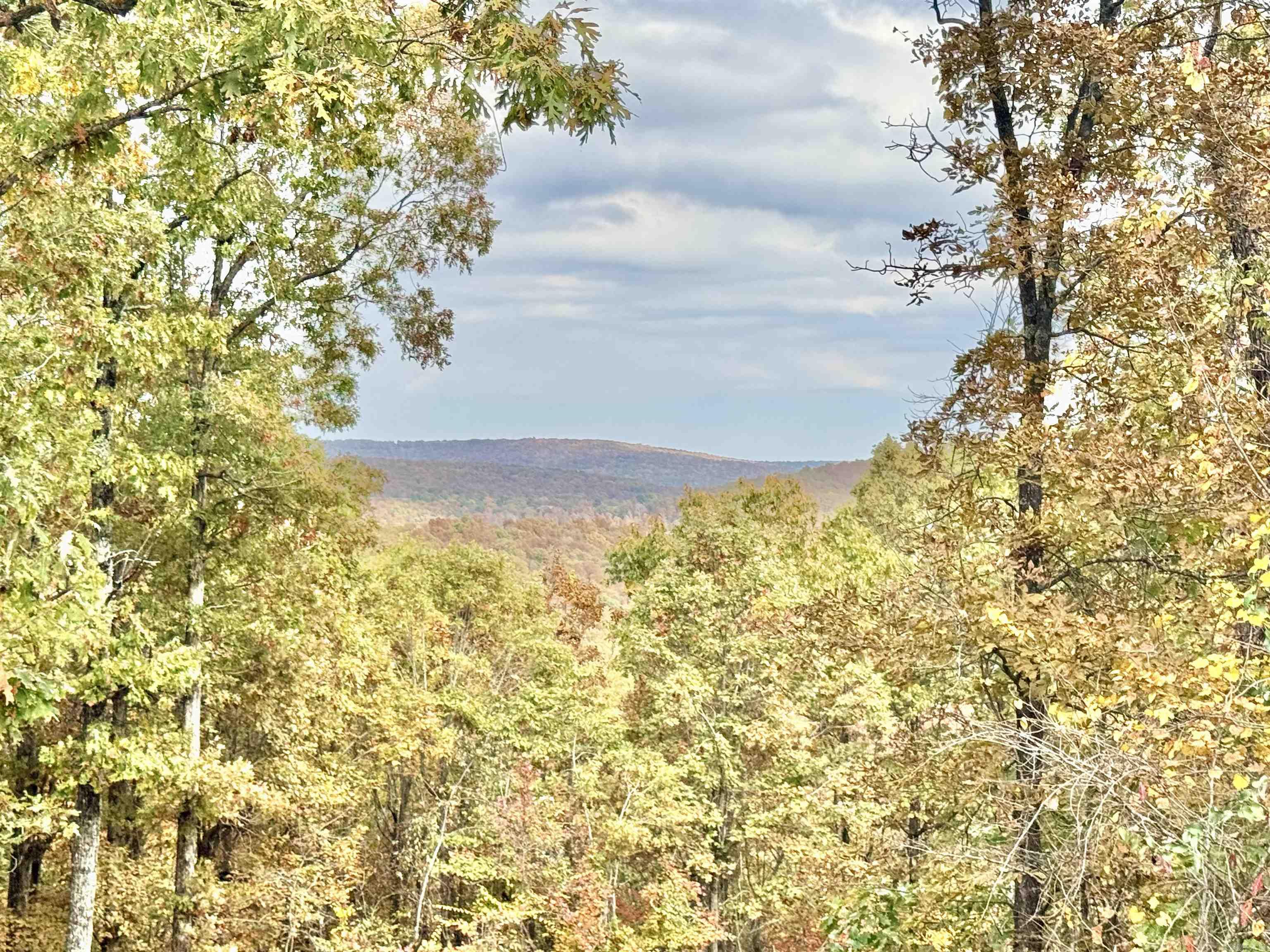 6356 Sunny Fox Rd. Mountain View, AR 72560