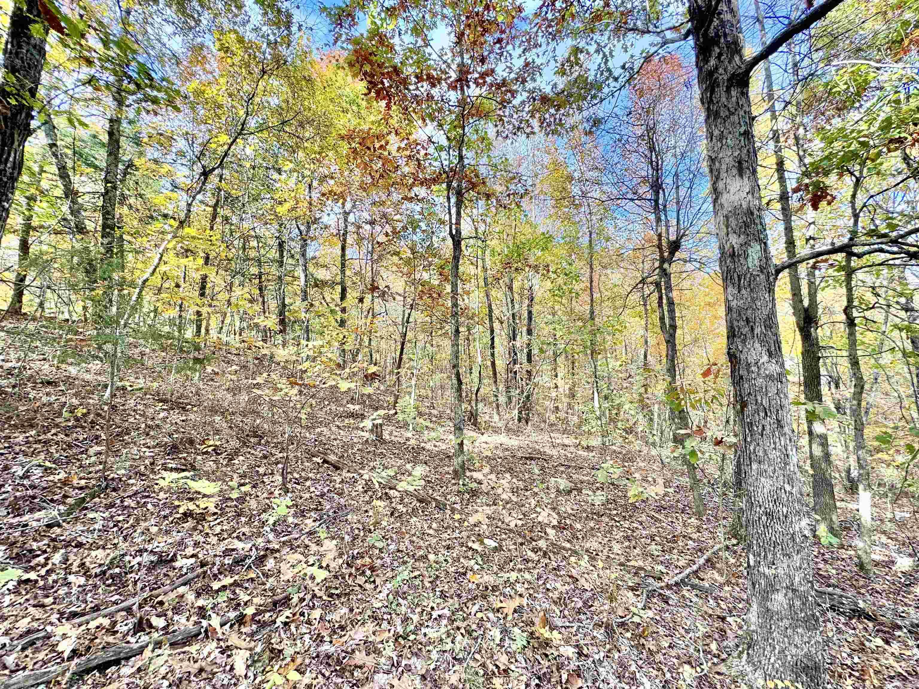 6356 Sunny Fox Rd. Mountain View, AR 72560