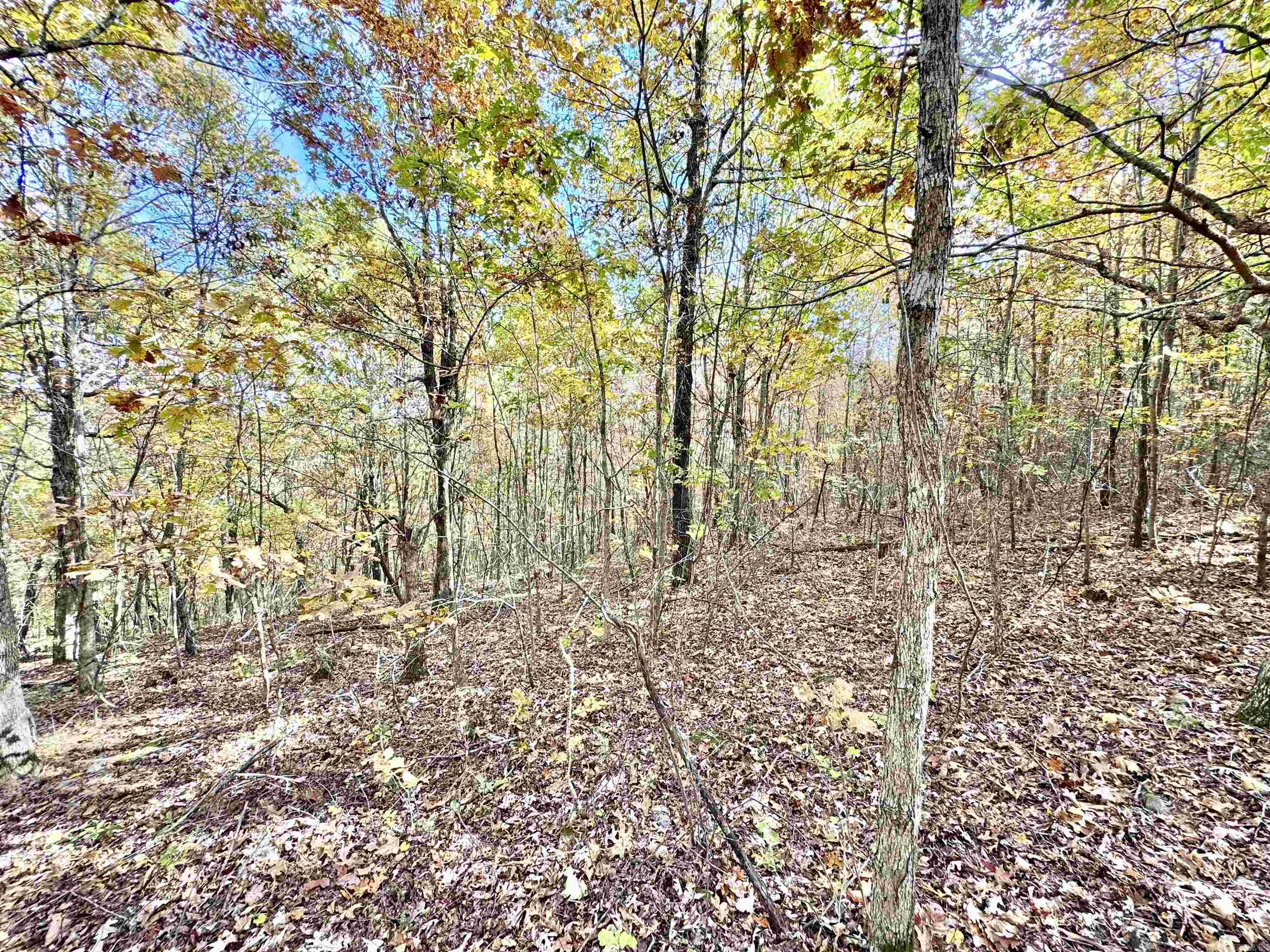 6356 Sunny Fox Rd. Mountain View, AR 72560