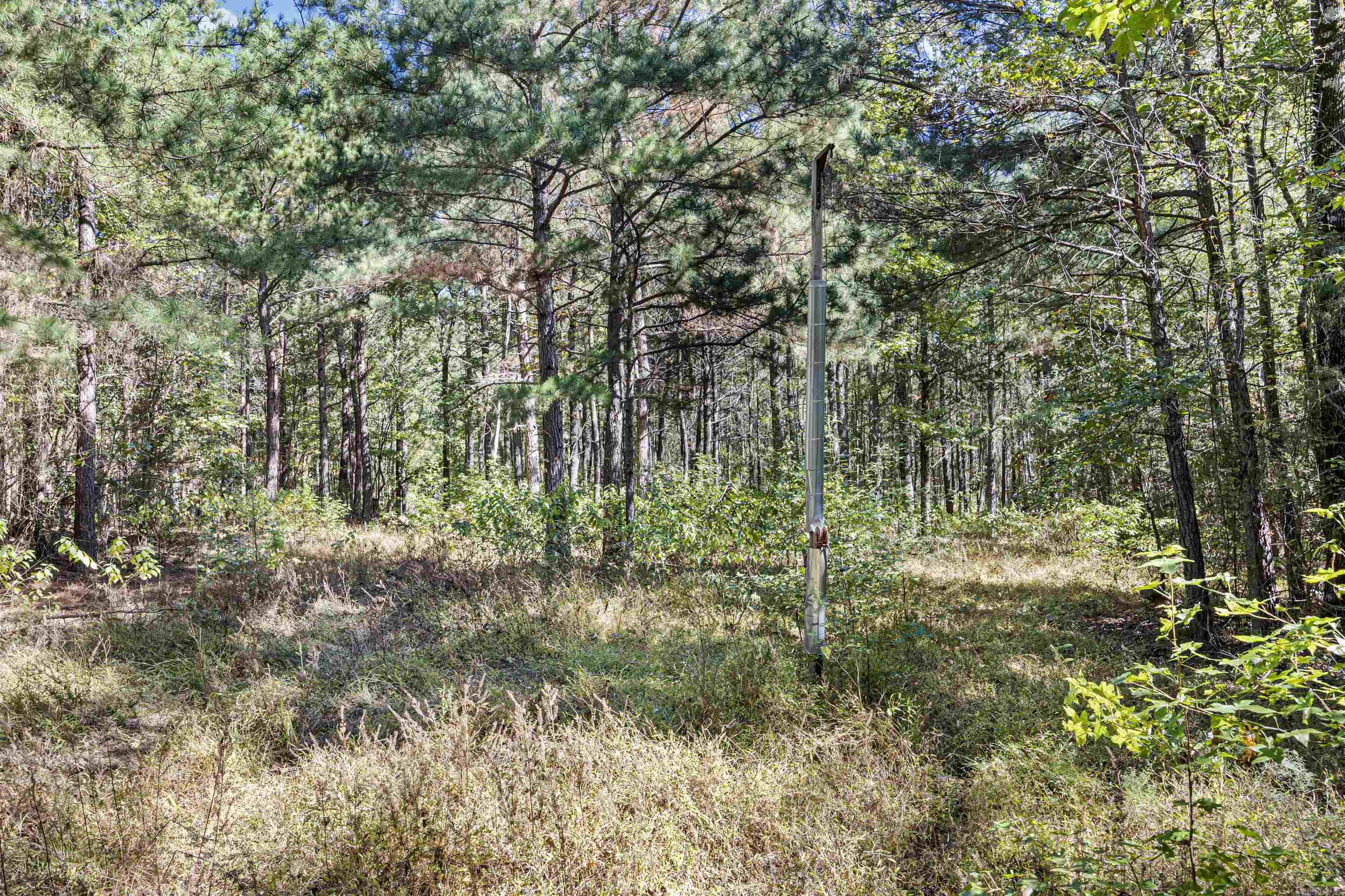 000 County Rd 4200  Clarksville, AR
