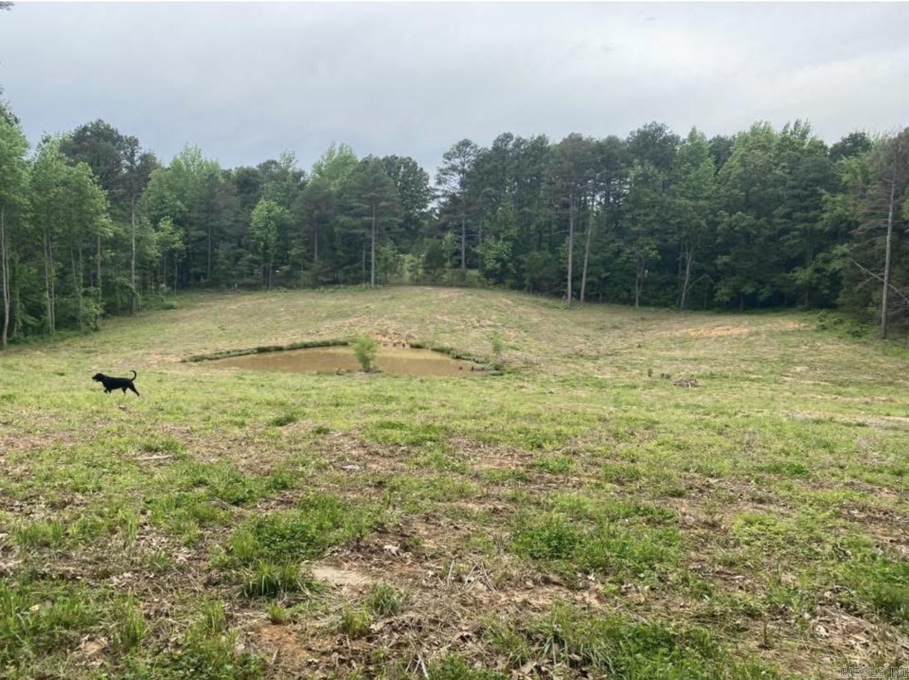 164 Greene 704 Road Paragould, AR 72450