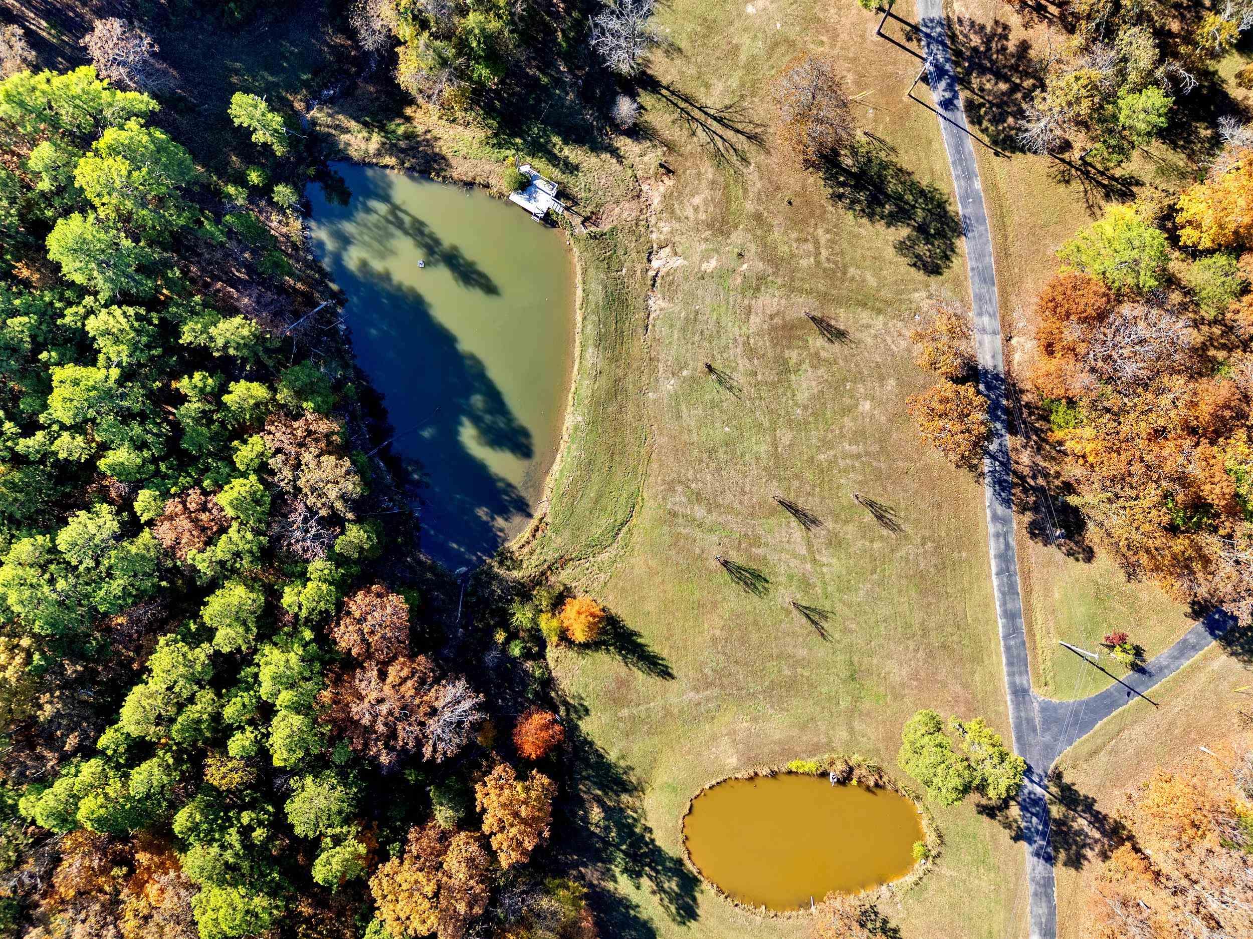 161 Jaguar Drive  Mountain Home, AR