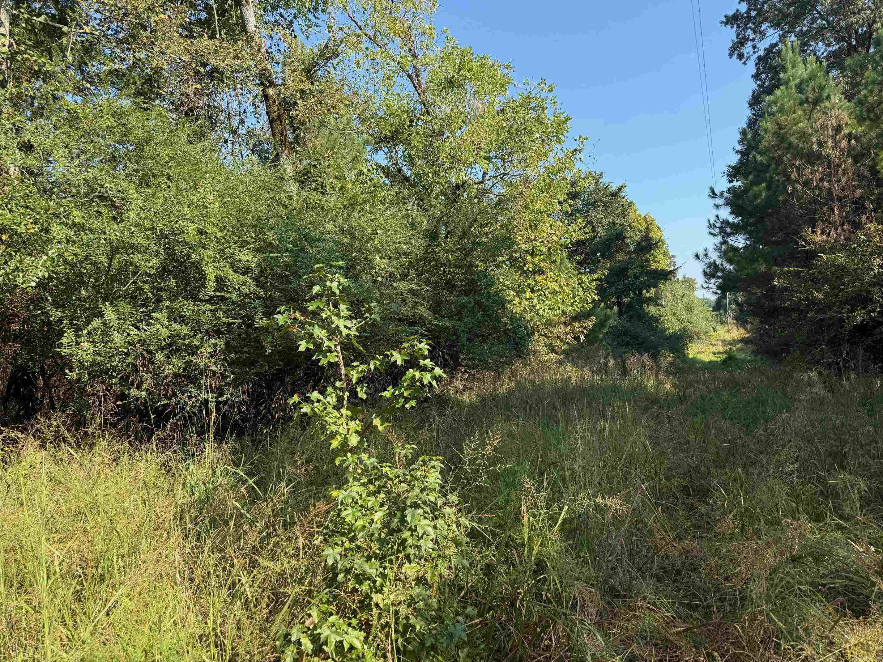 186 Wayback Lane  Cove, AR