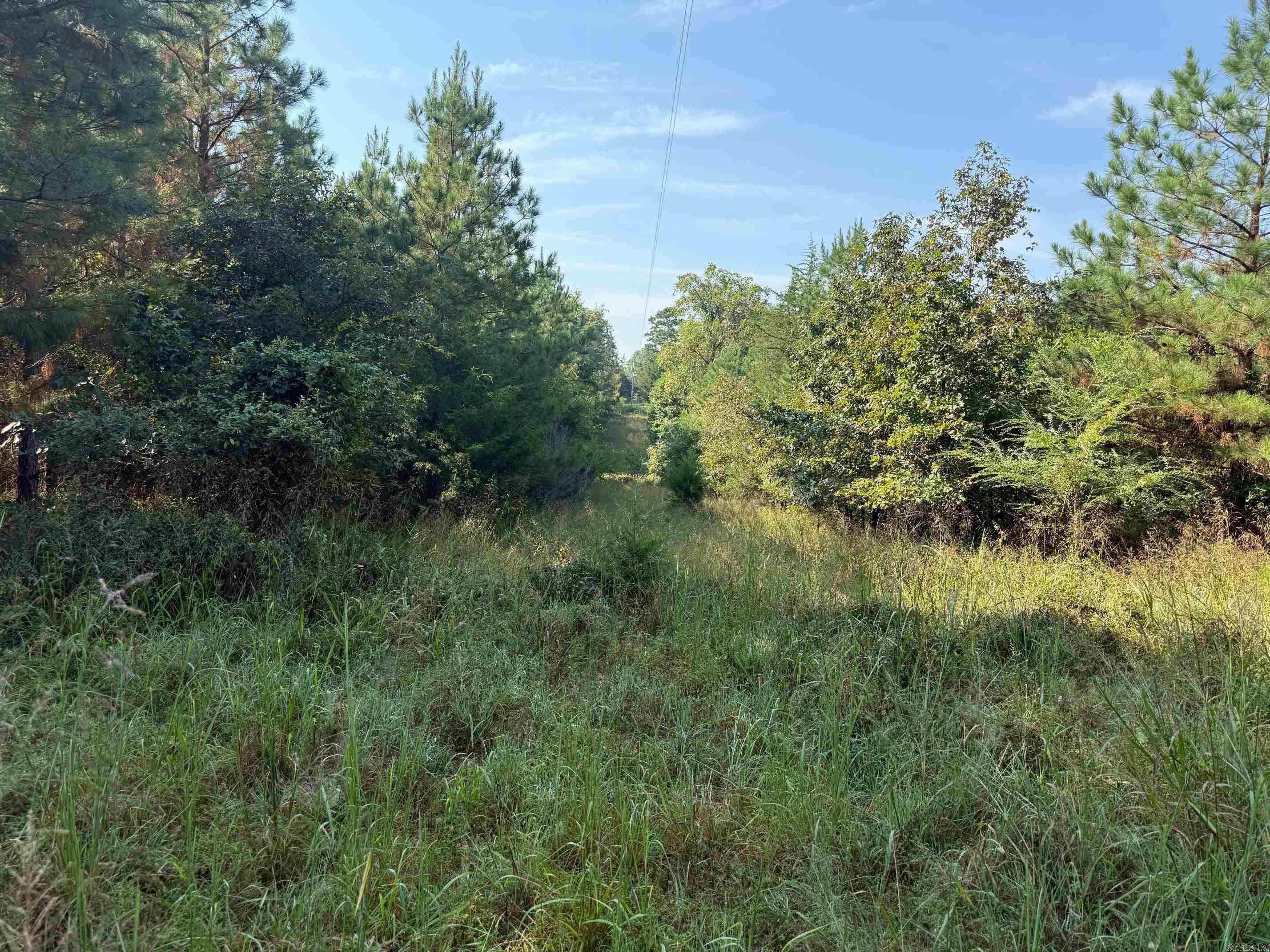 186 Wayback Lane  Cove, AR