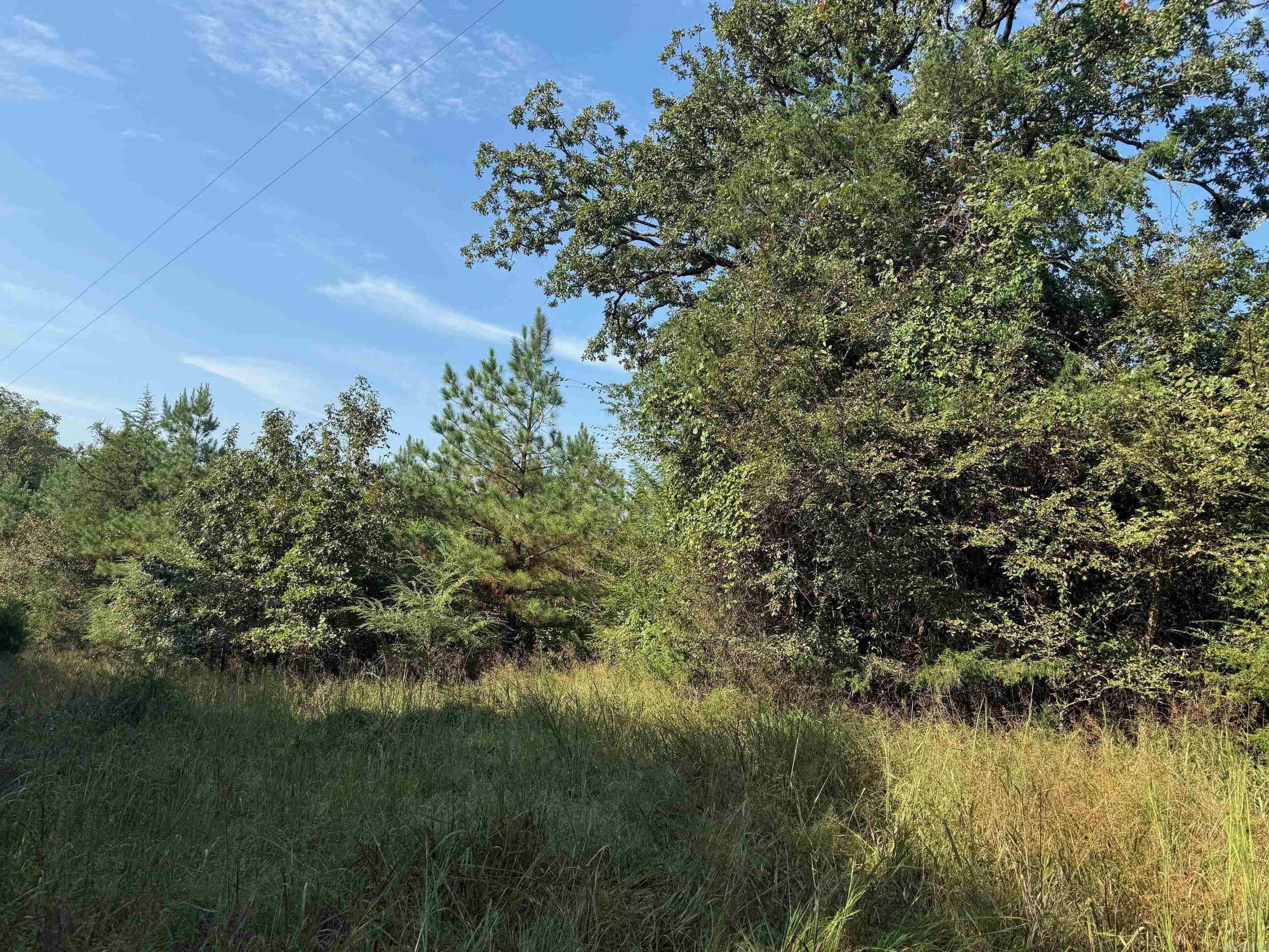 186 Wayback Lane  Cove, AR