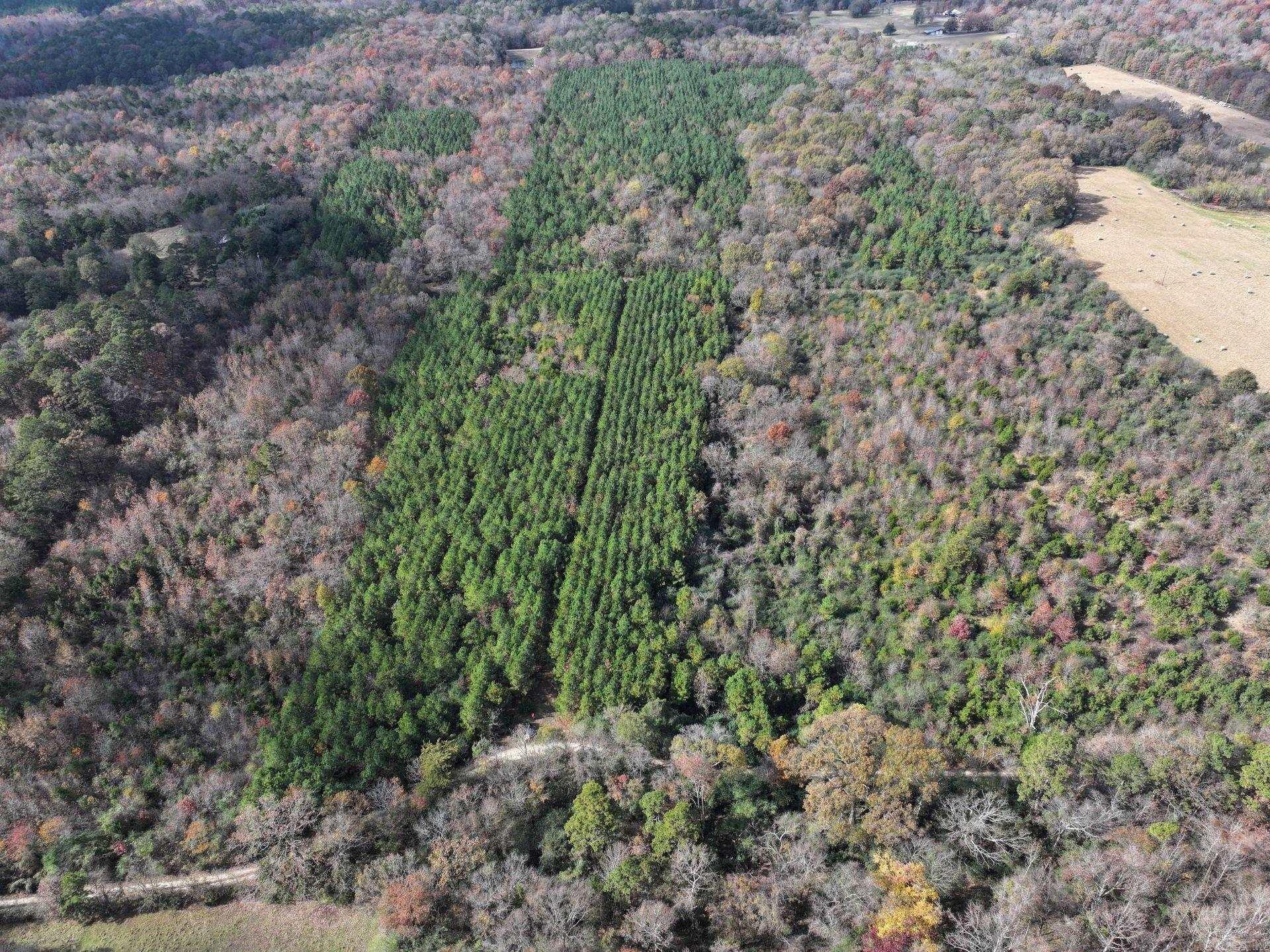 186 Wayback Lane  Cove, AR