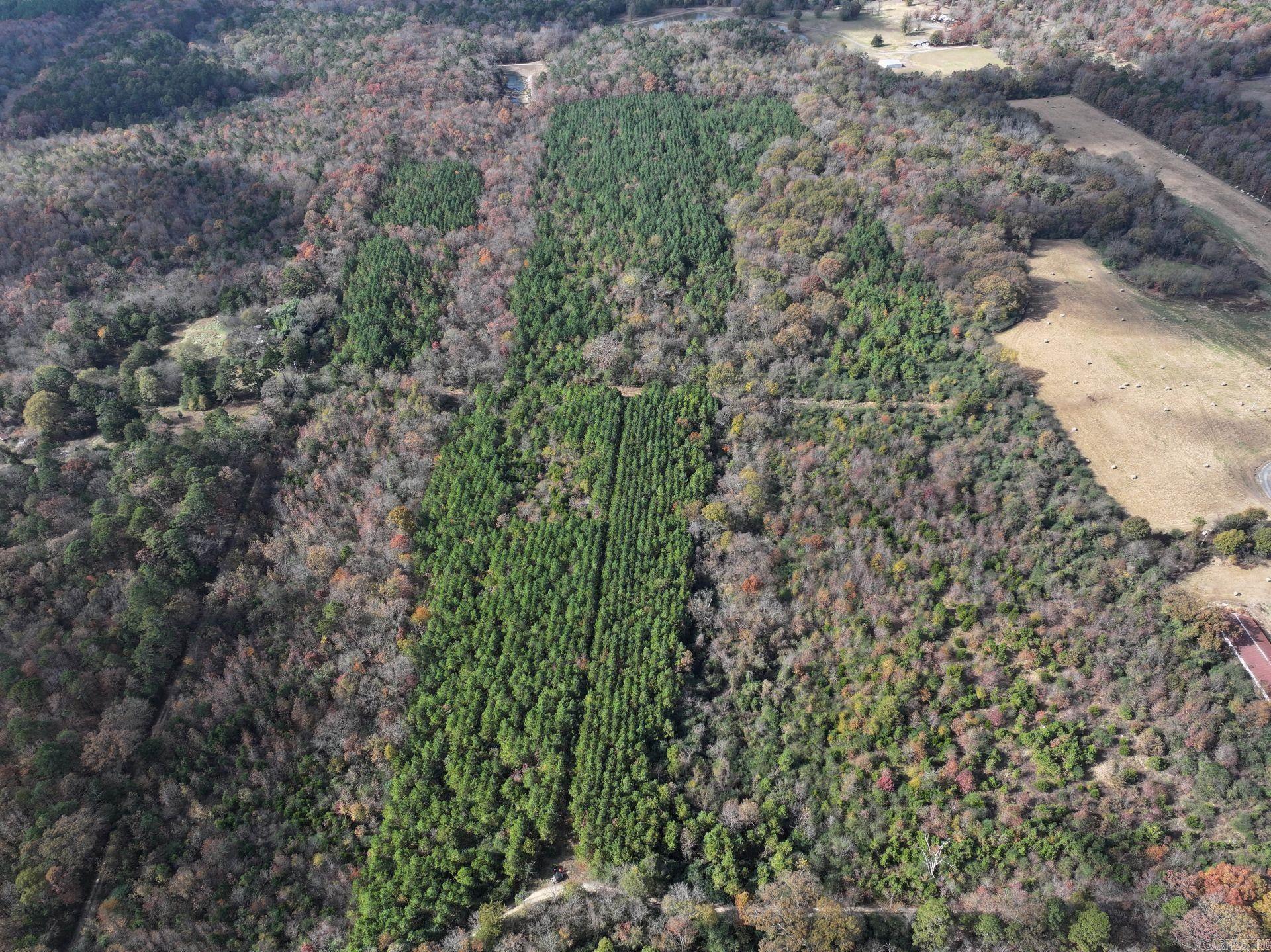 186 Wayback Lane  Cove, AR