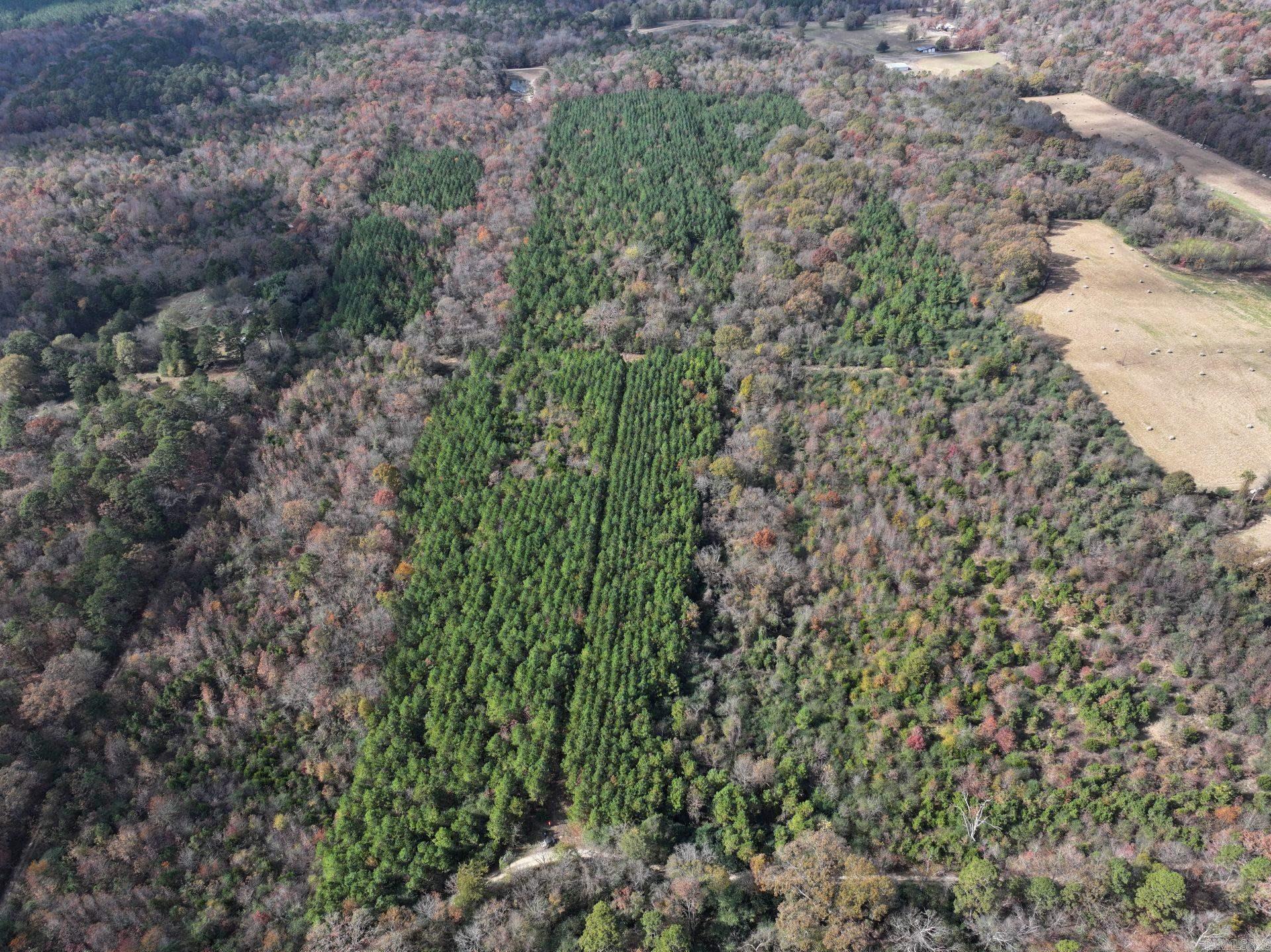 186 Wayback Lane  Cove, AR