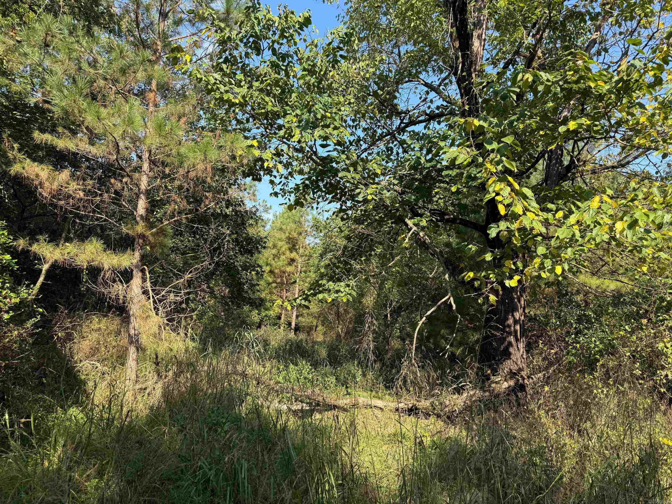 186 Wayback Lane  Cove, AR