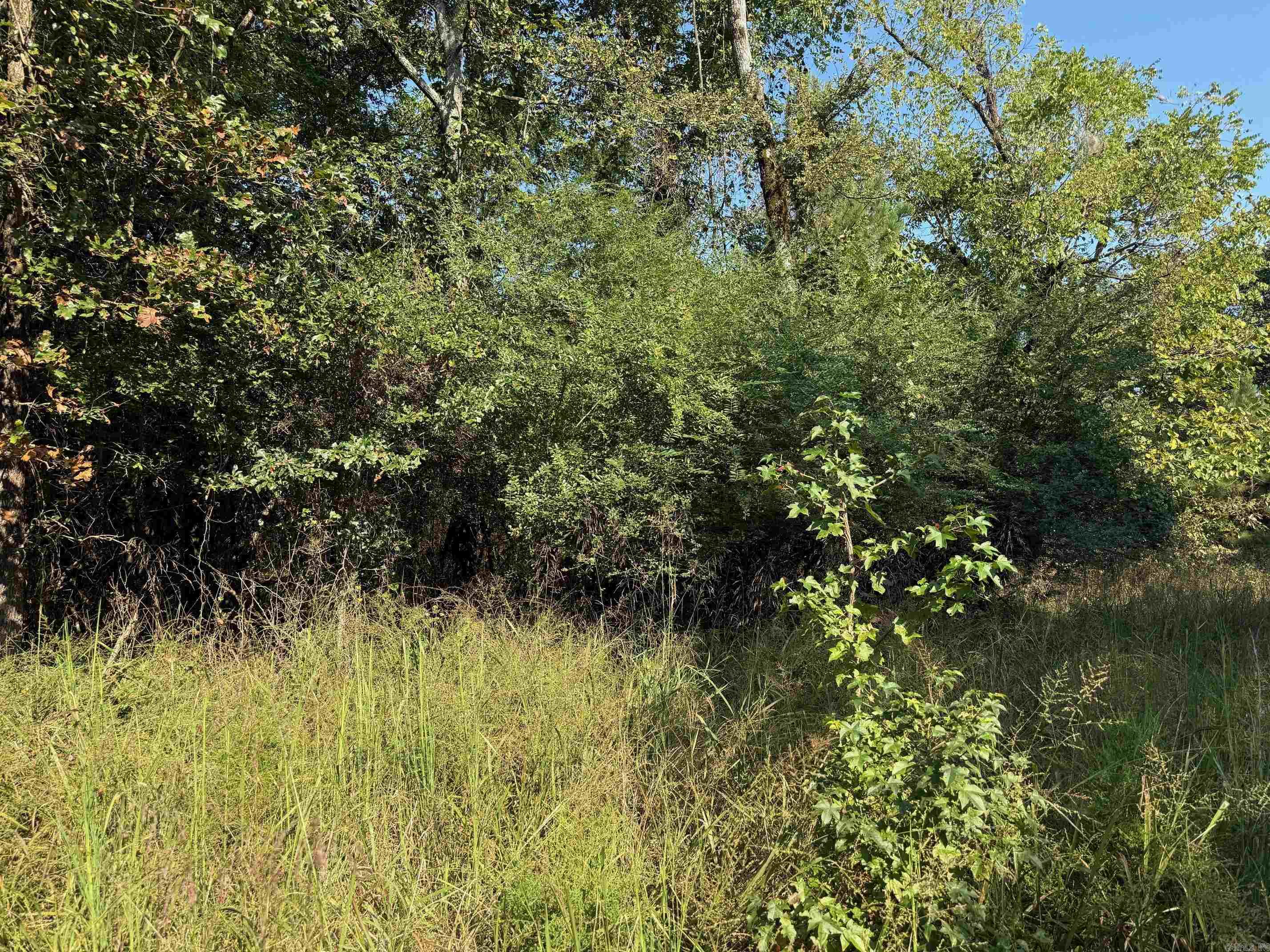 186 Wayback Lane  Cove, AR