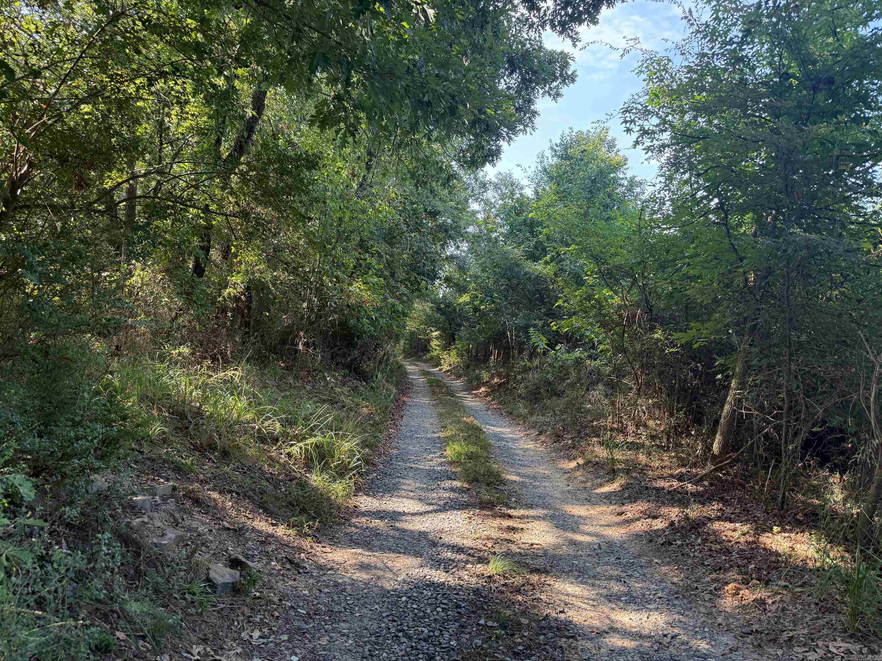 186 Wayback Lane  Cove, AR