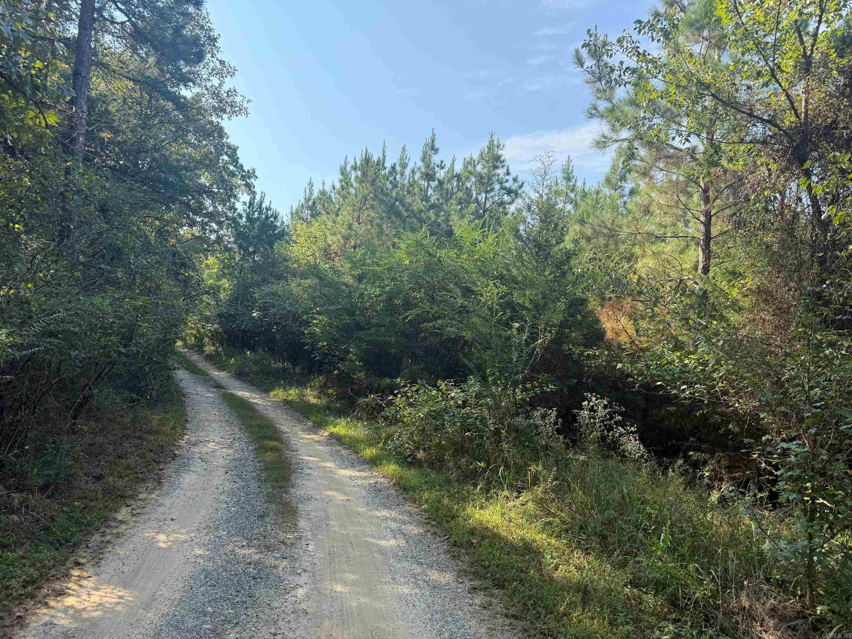 186 Wayback Lane  Cove, AR