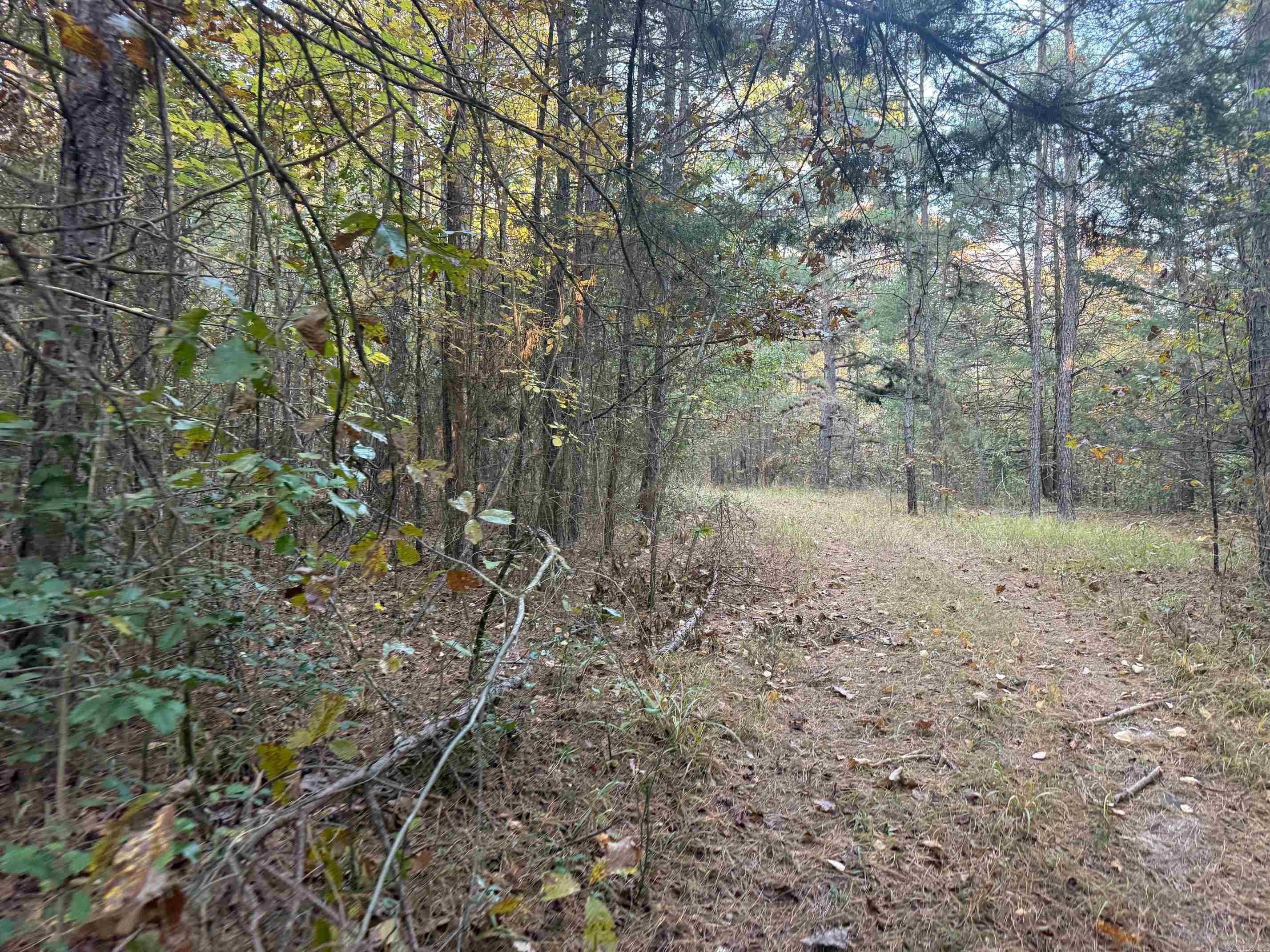 9999 easement Road  Cove, AR