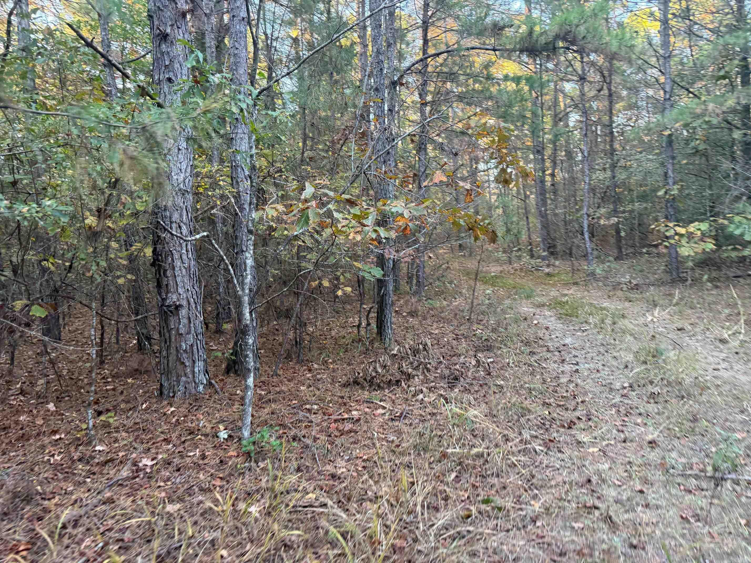 9999 easement Road  Cove, AR