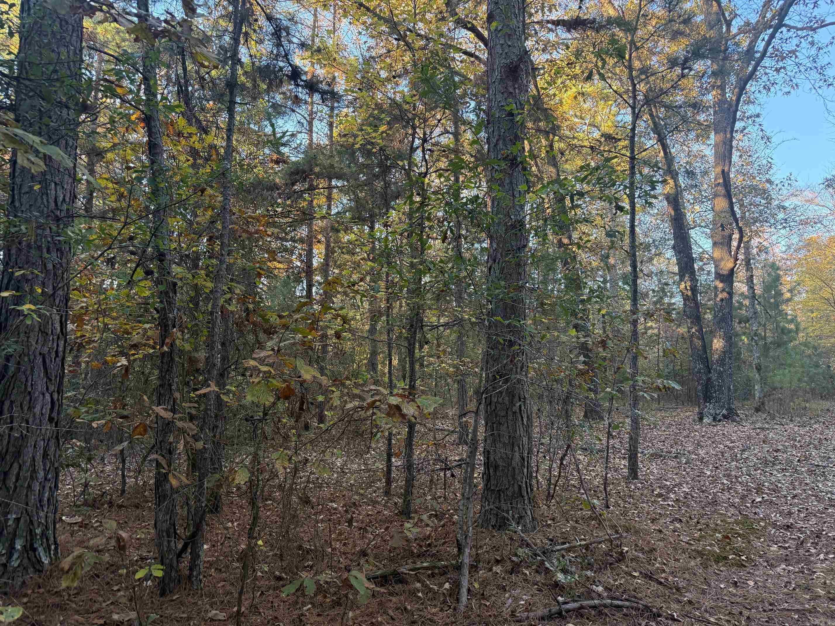 9999 easement Road  Cove, AR