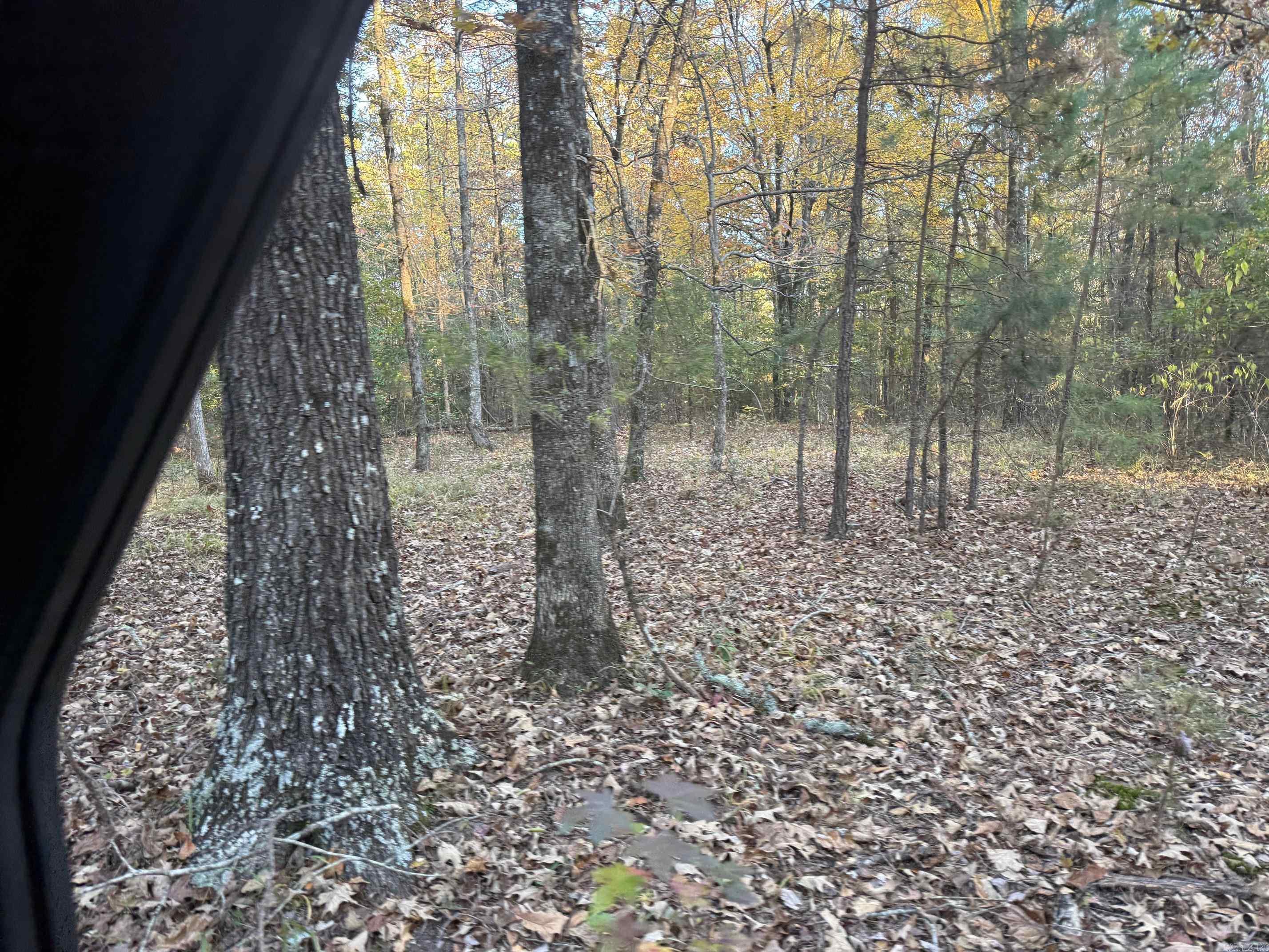 9999 easement Road  Cove, AR