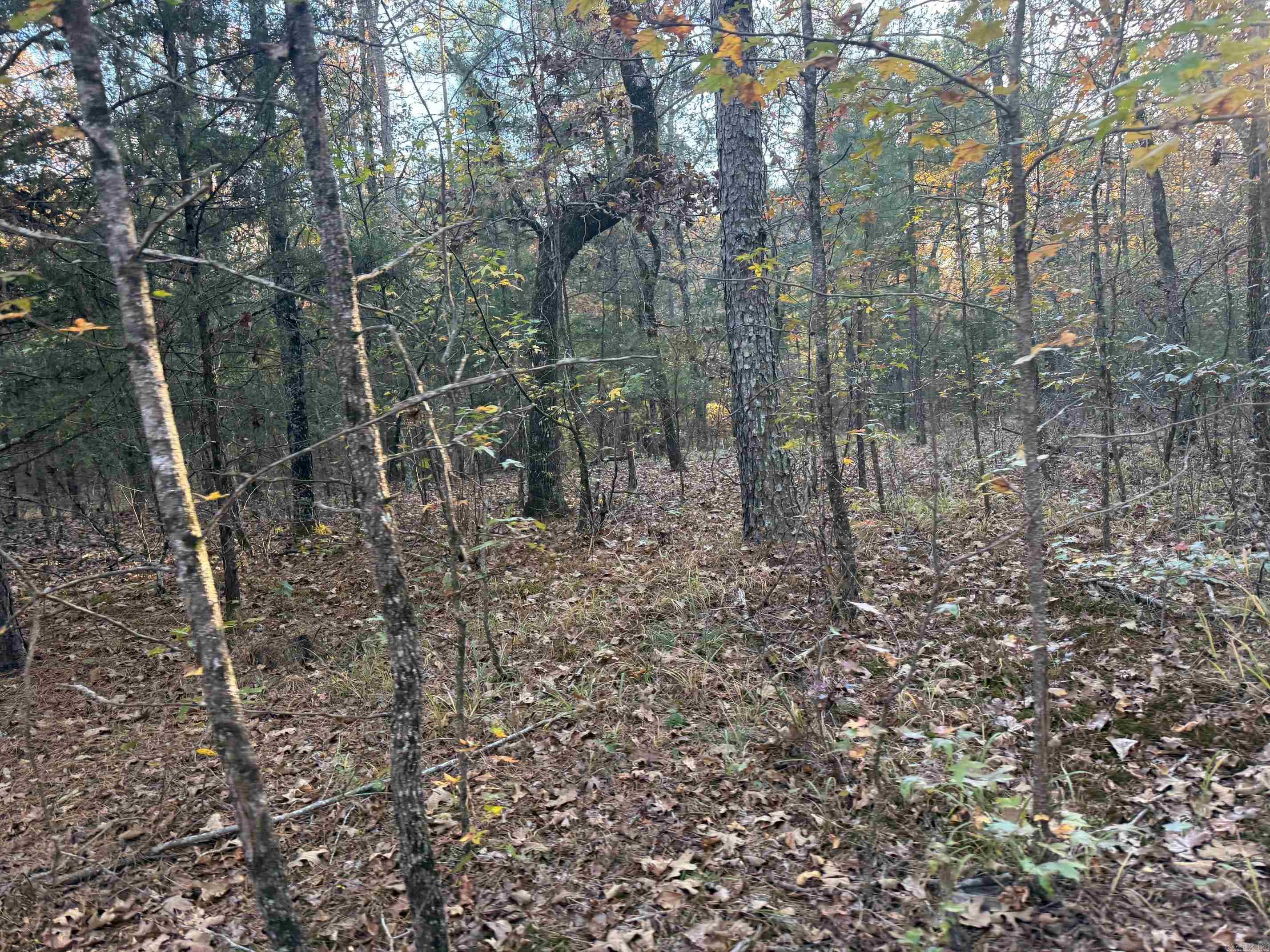 9999 easement Road  Cove, AR