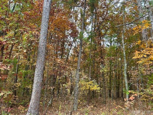 0 Sawmill  Mountain View, AR