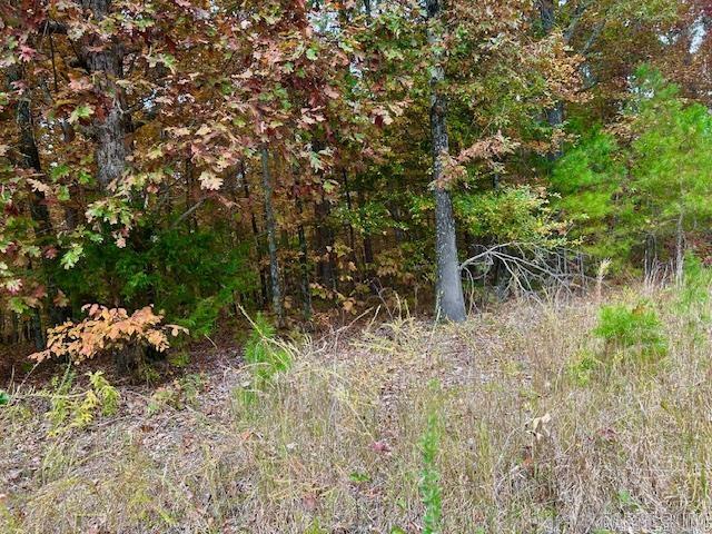 0 Sawmill  Mountain View, AR