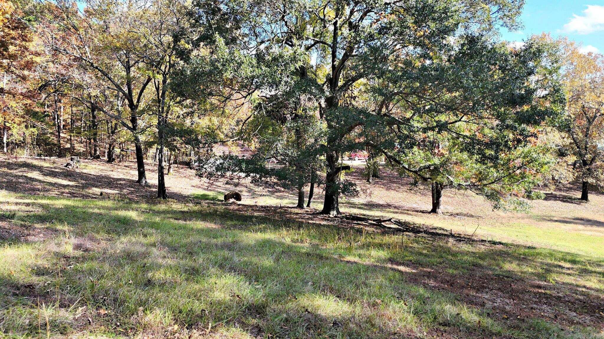 403 Polk Road 69 Mena, AR 71953