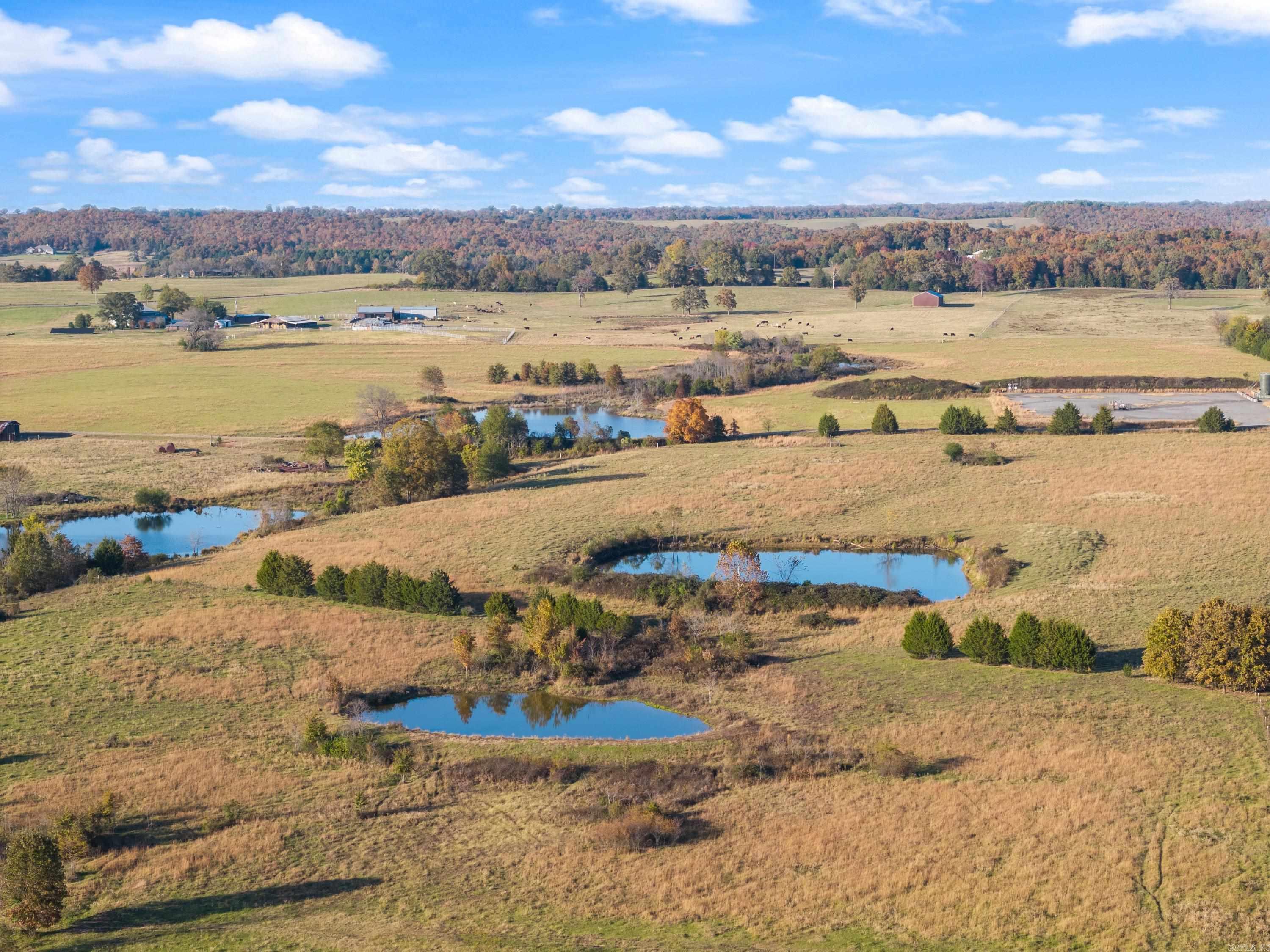 172 Blackfork Road  Greenbrier, AR