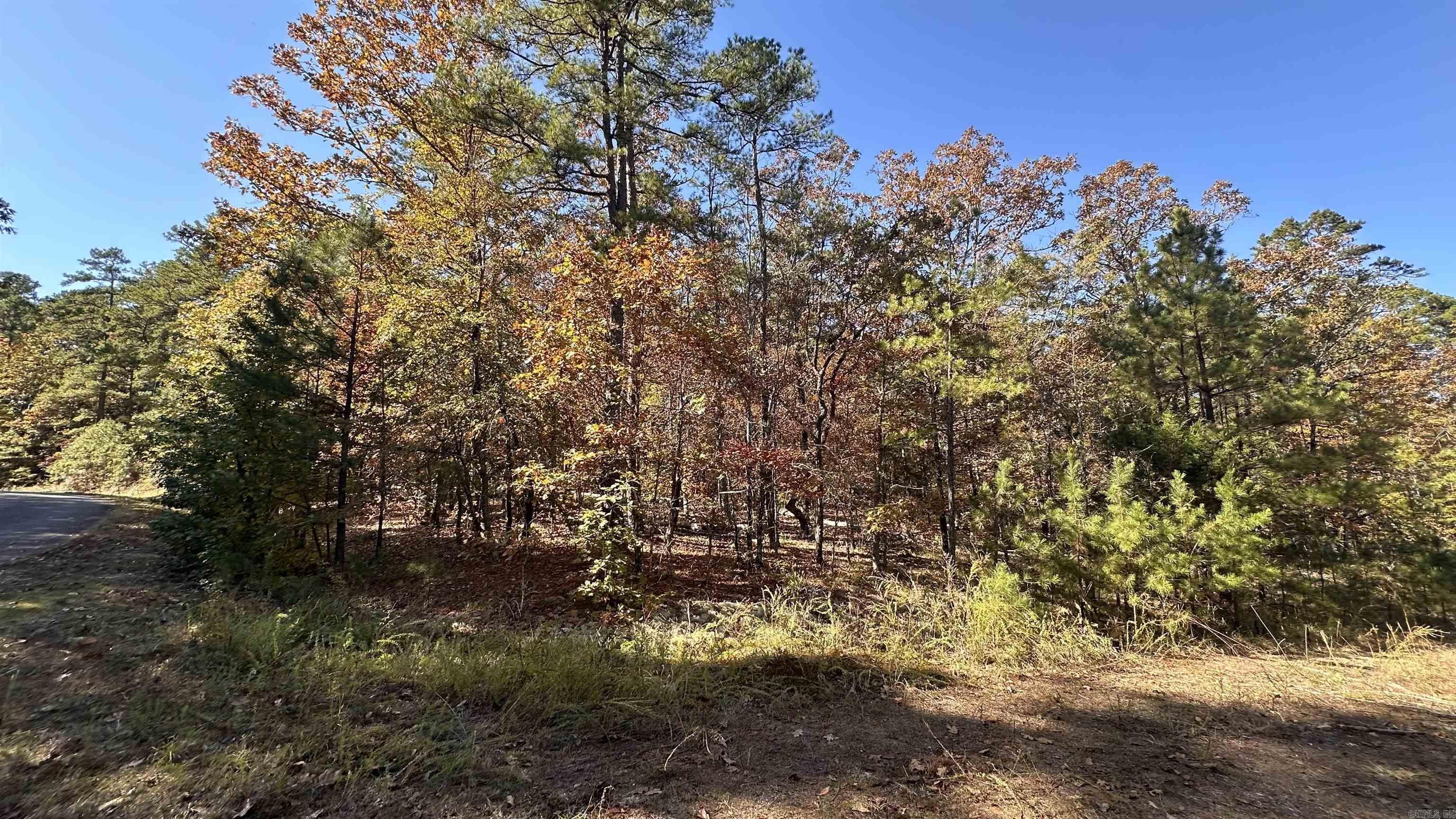 6 Buque  Hot Springs Village, AR