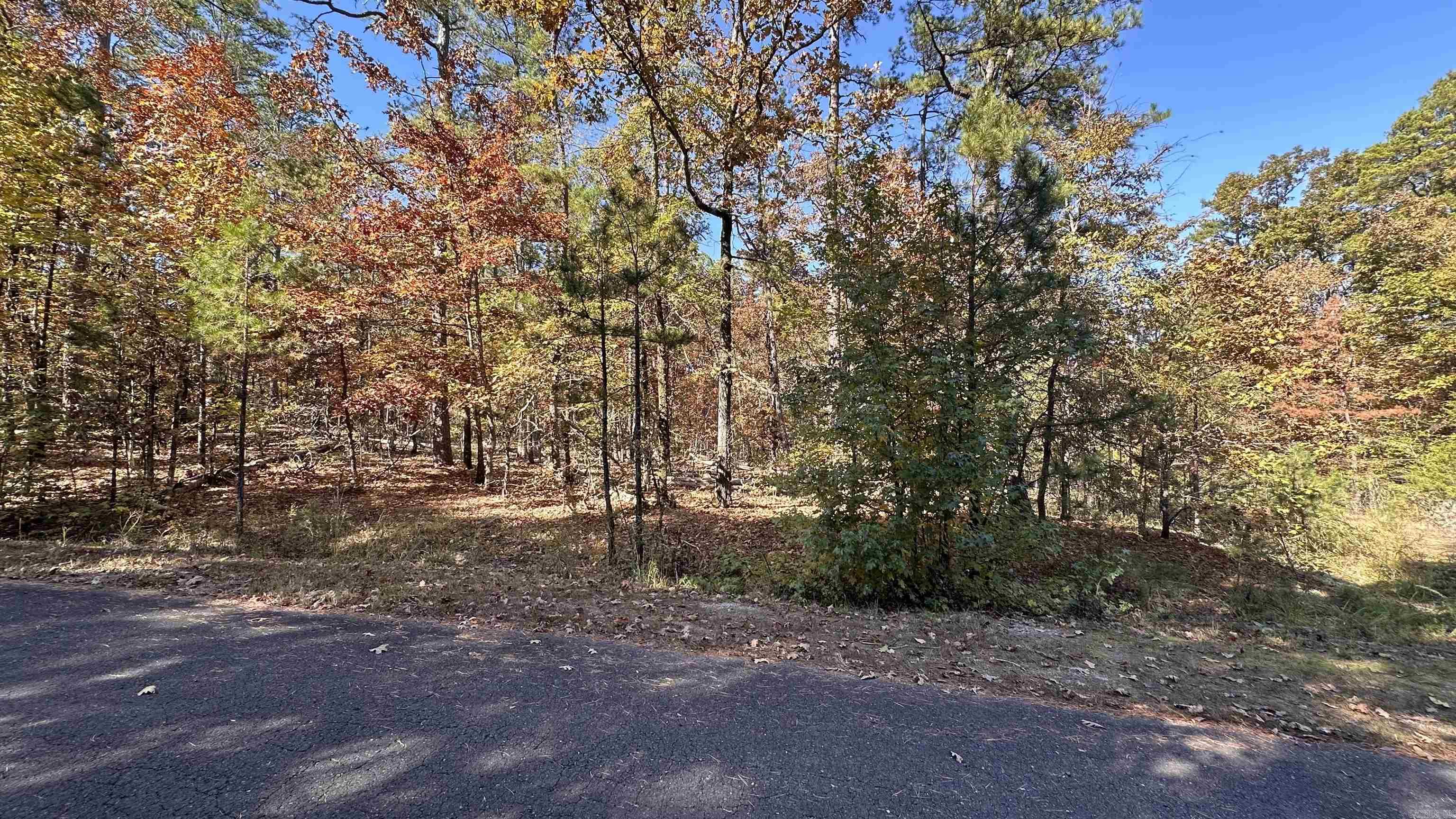 6 Buque  Hot Springs Village, AR