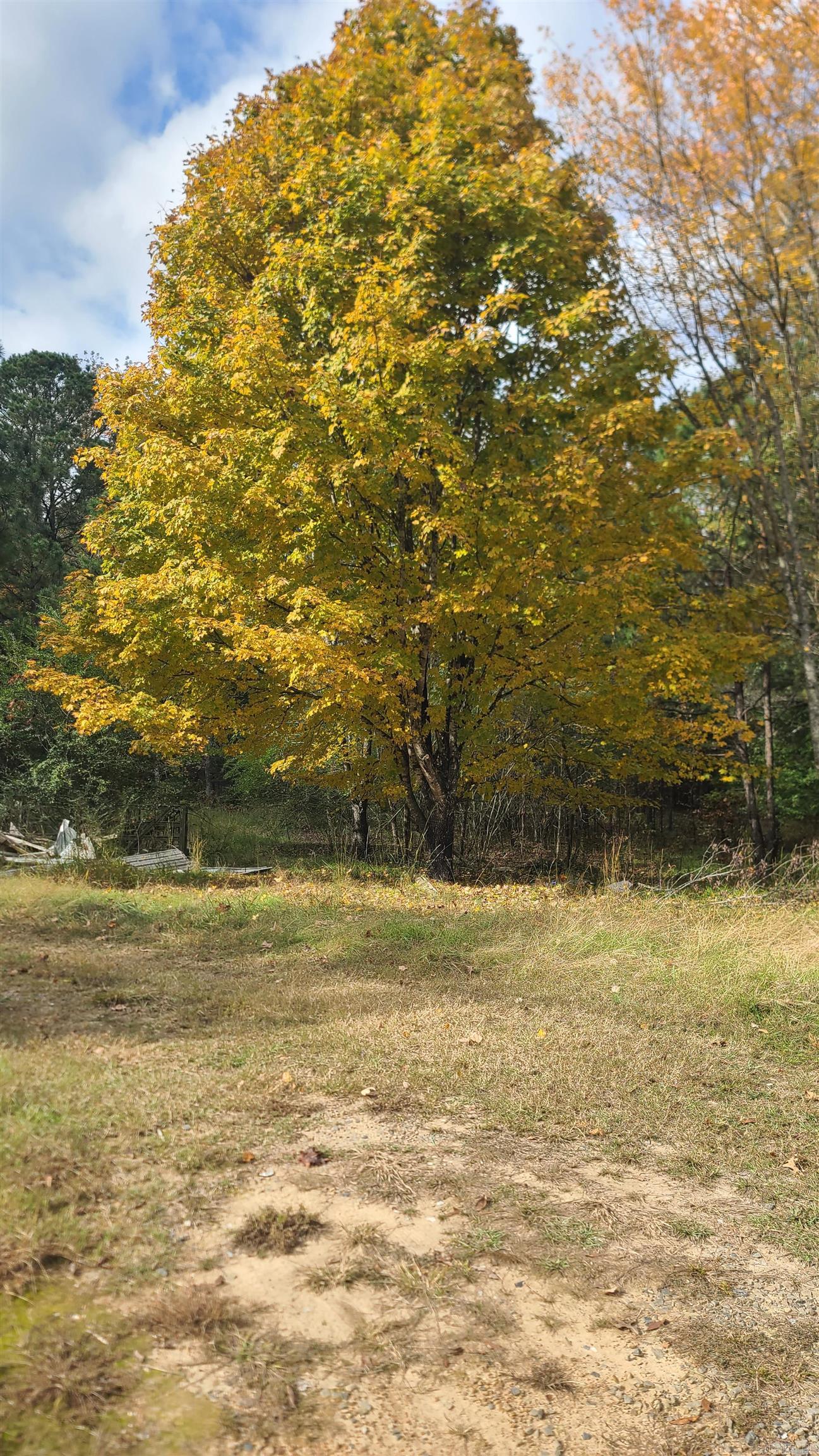 79 Hidden Valley  Conway, AR