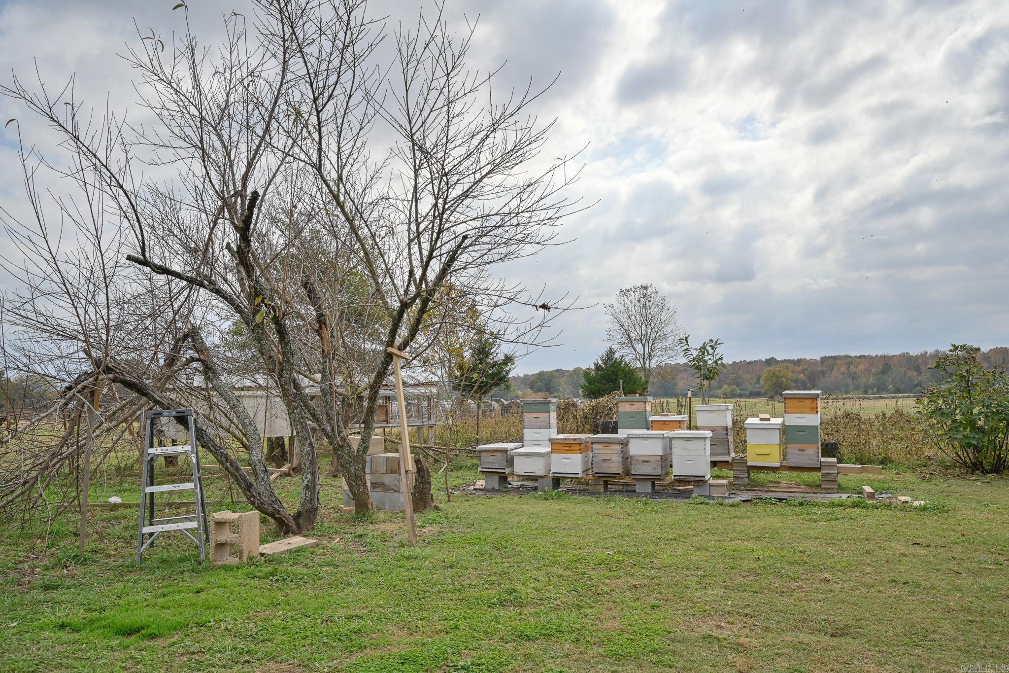 4976 Hwy 88 E  Mena, AR