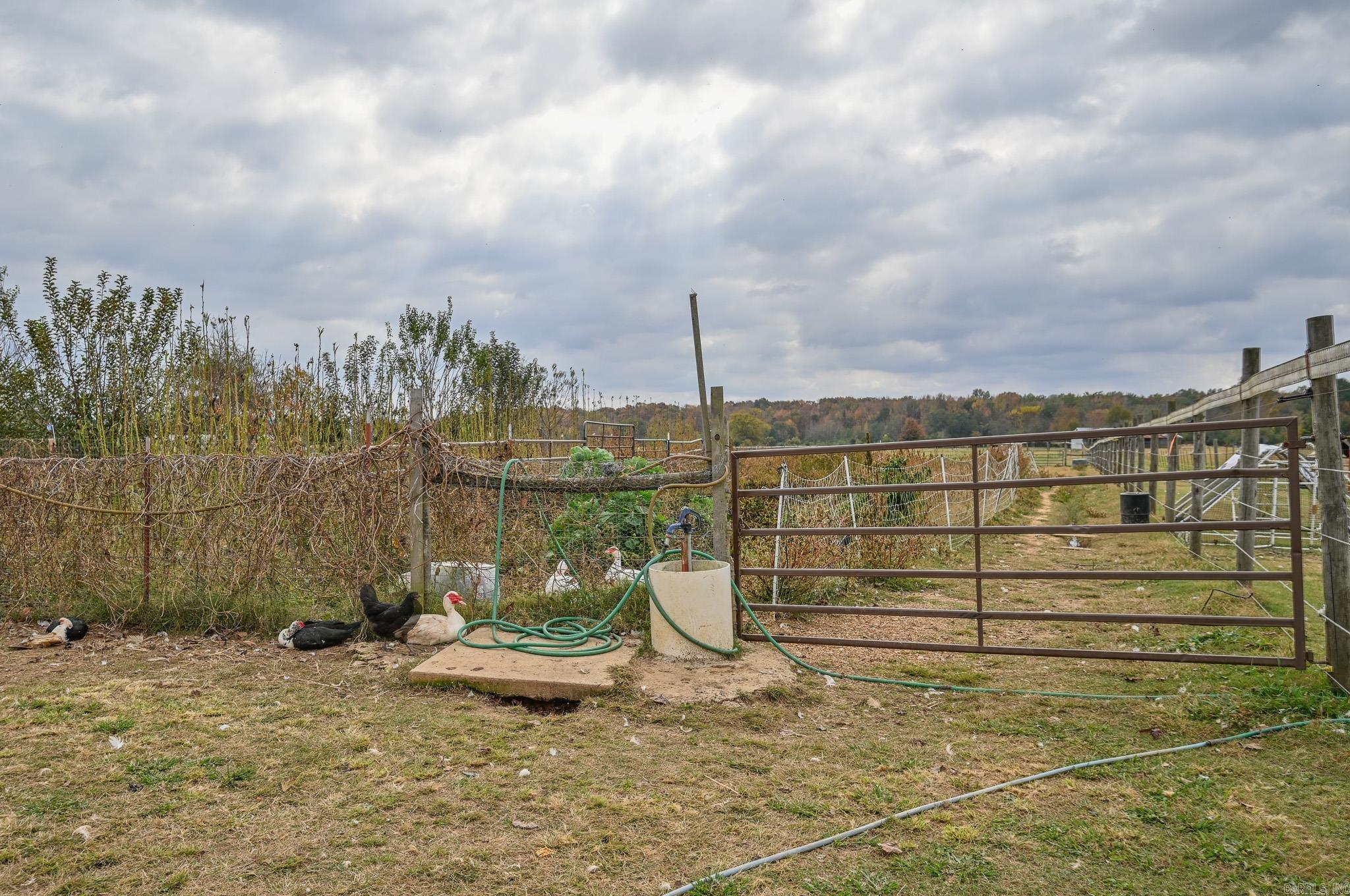 4976 Hwy 88 E  Mena, AR