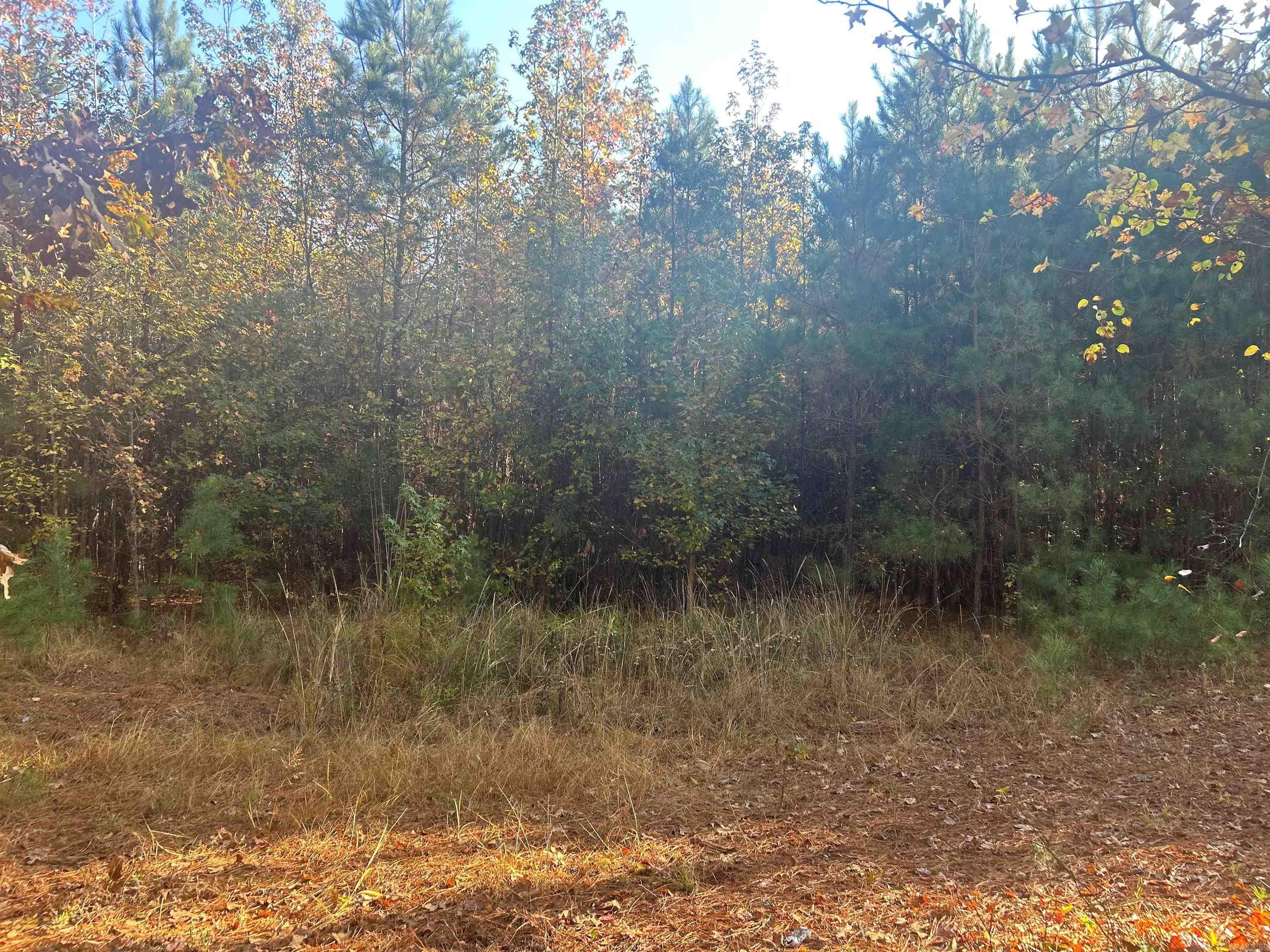 164 Hot Springs  Arkadelphia, AR