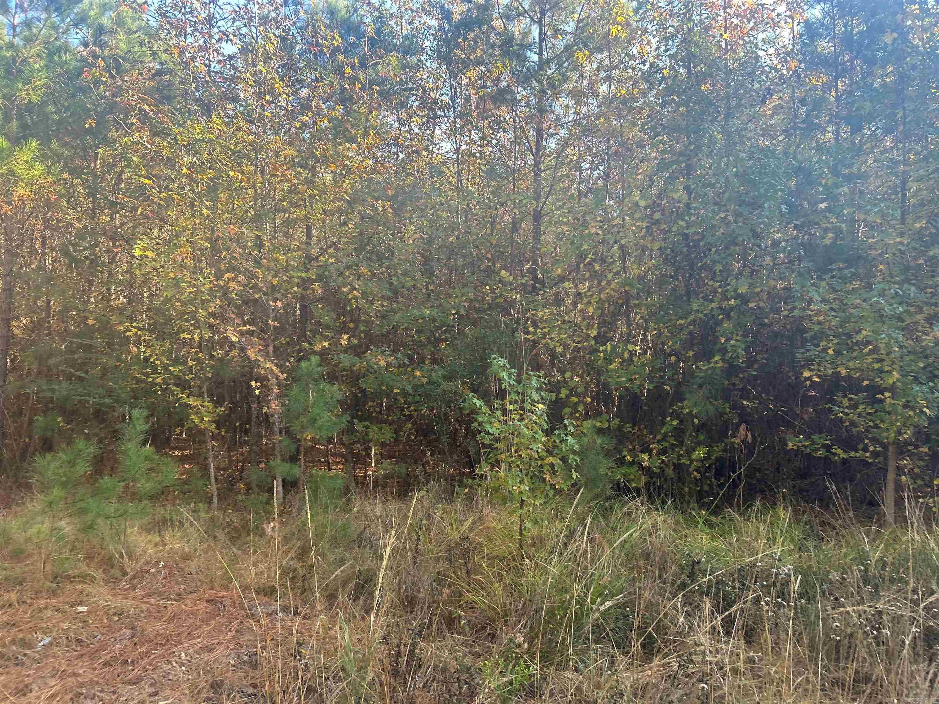 164 Hot Springs  Arkadelphia, AR