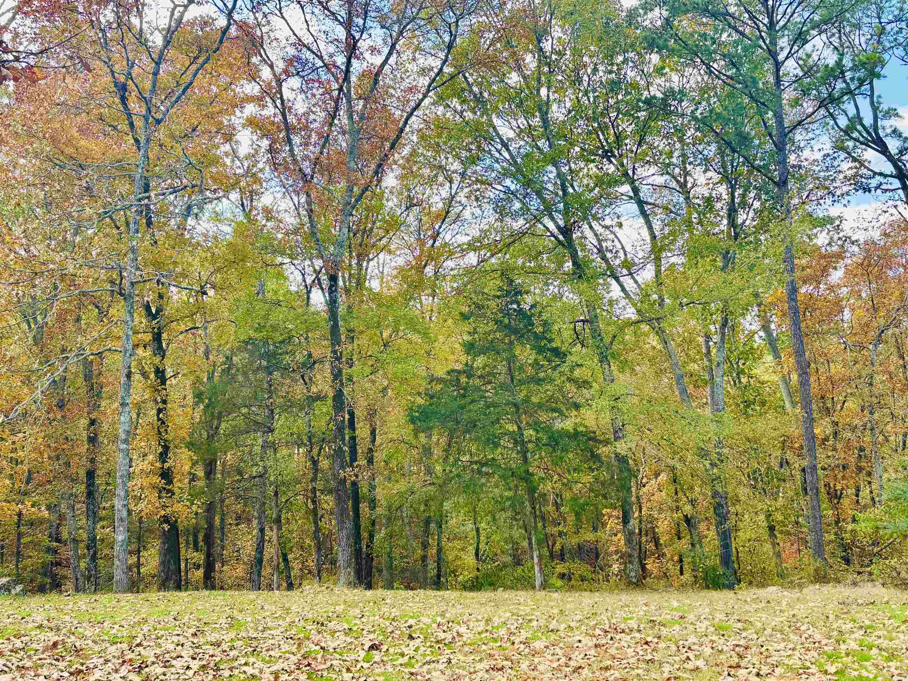 6575 Banner Mountain  Shirley, AR