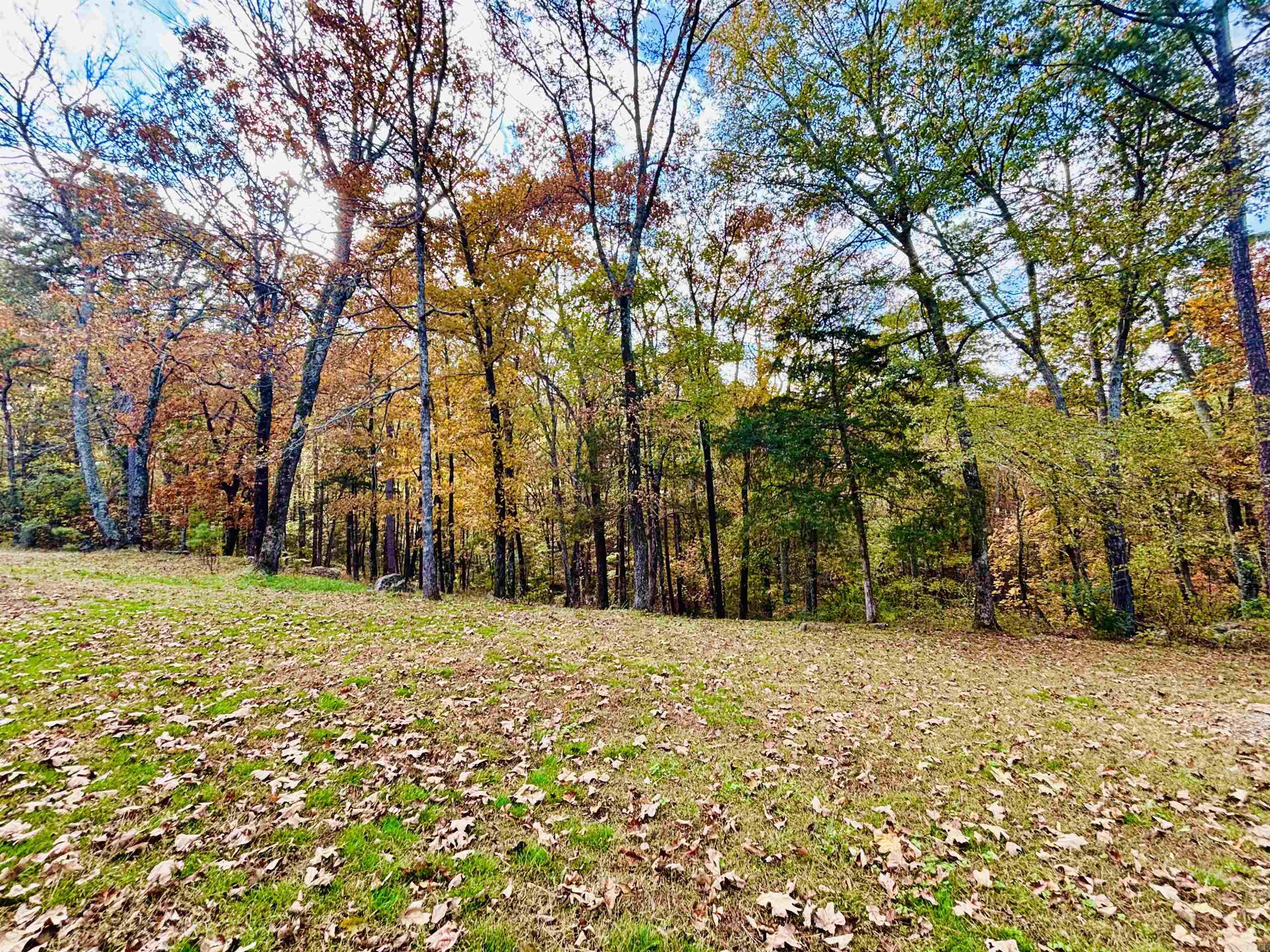 6575 Banner Mountain  Shirley, AR