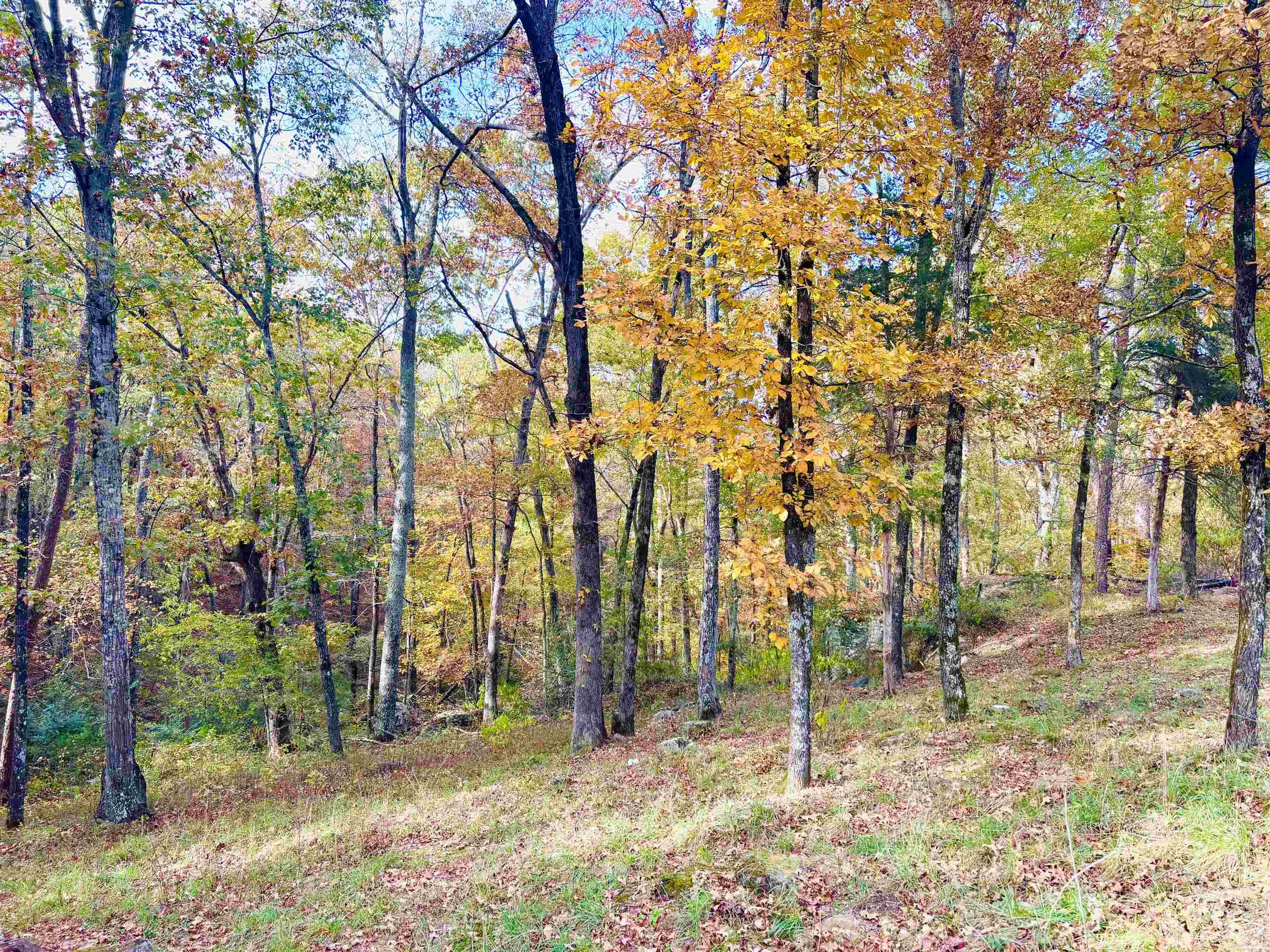 6575 Banner Mountain  Shirley, AR