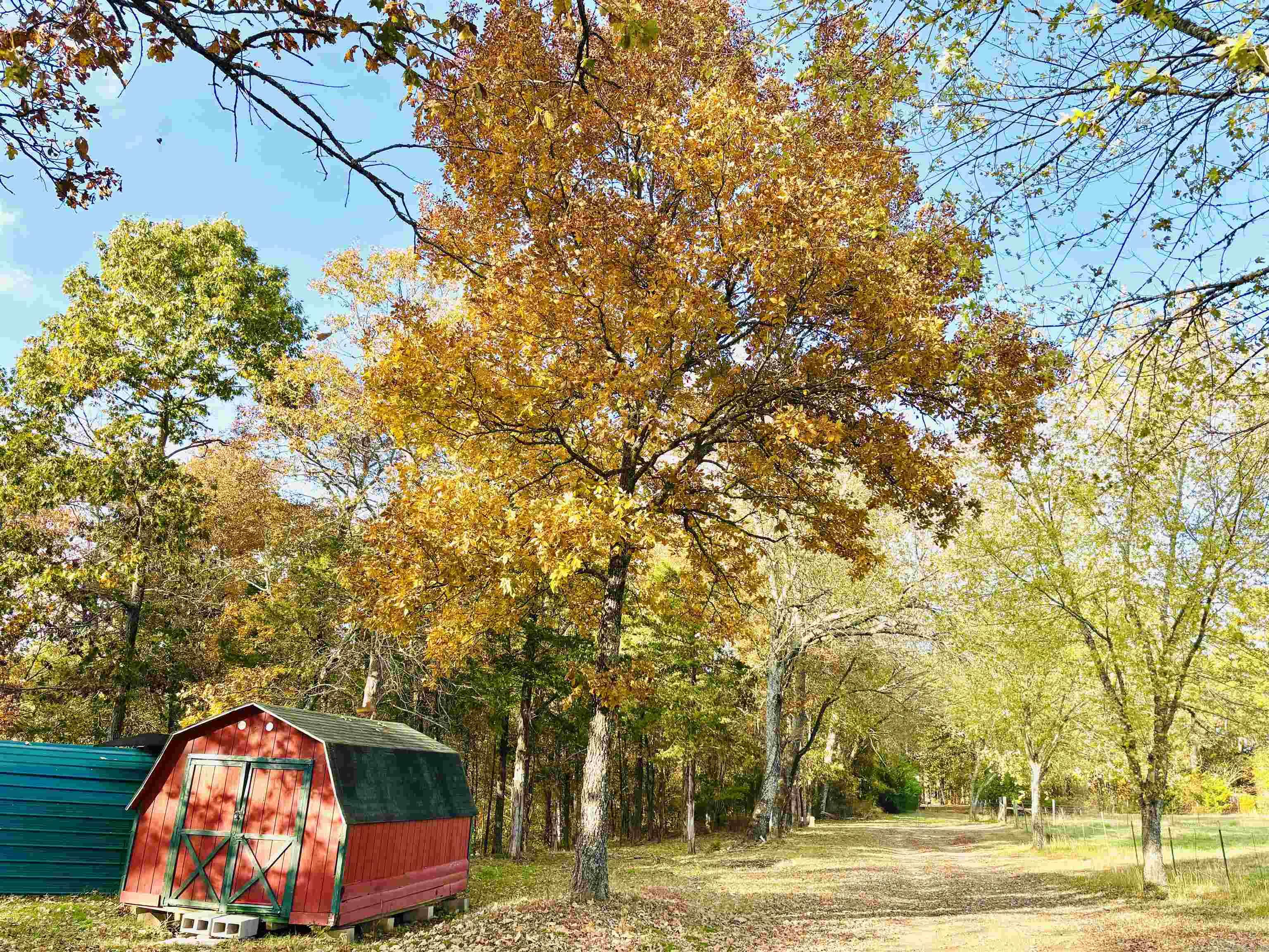 6575 Banner Mountain  Shirley, AR