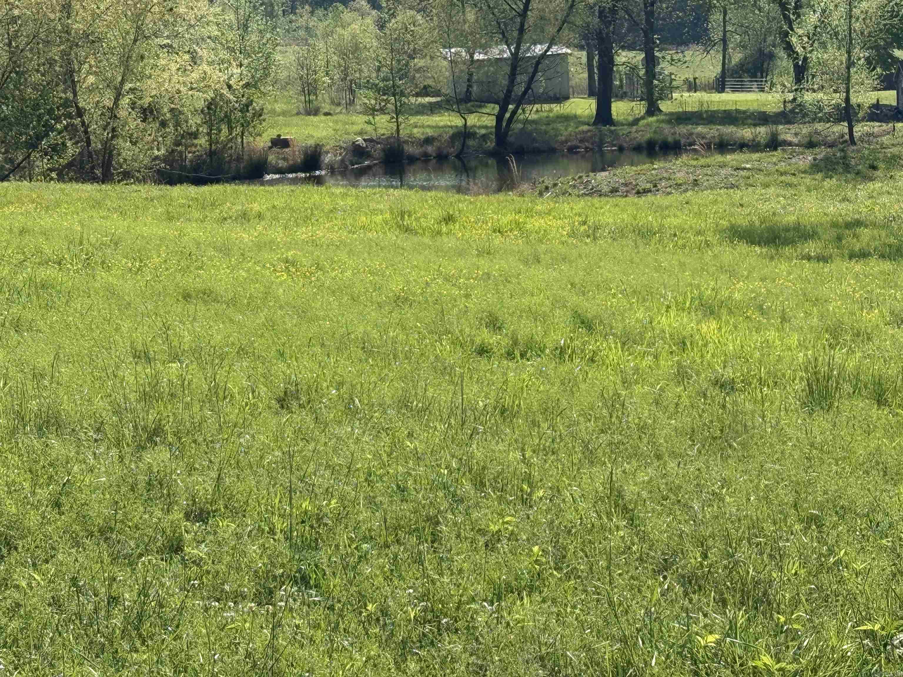 4 acres Mill Creek  Russellville, AR