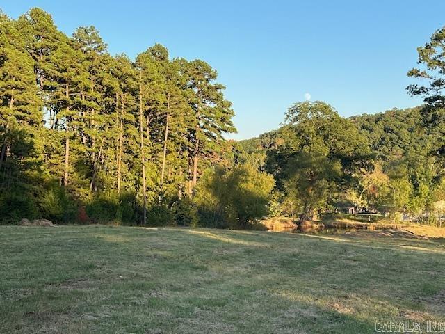 7.79 acres Mill Creek  Russellville, AR