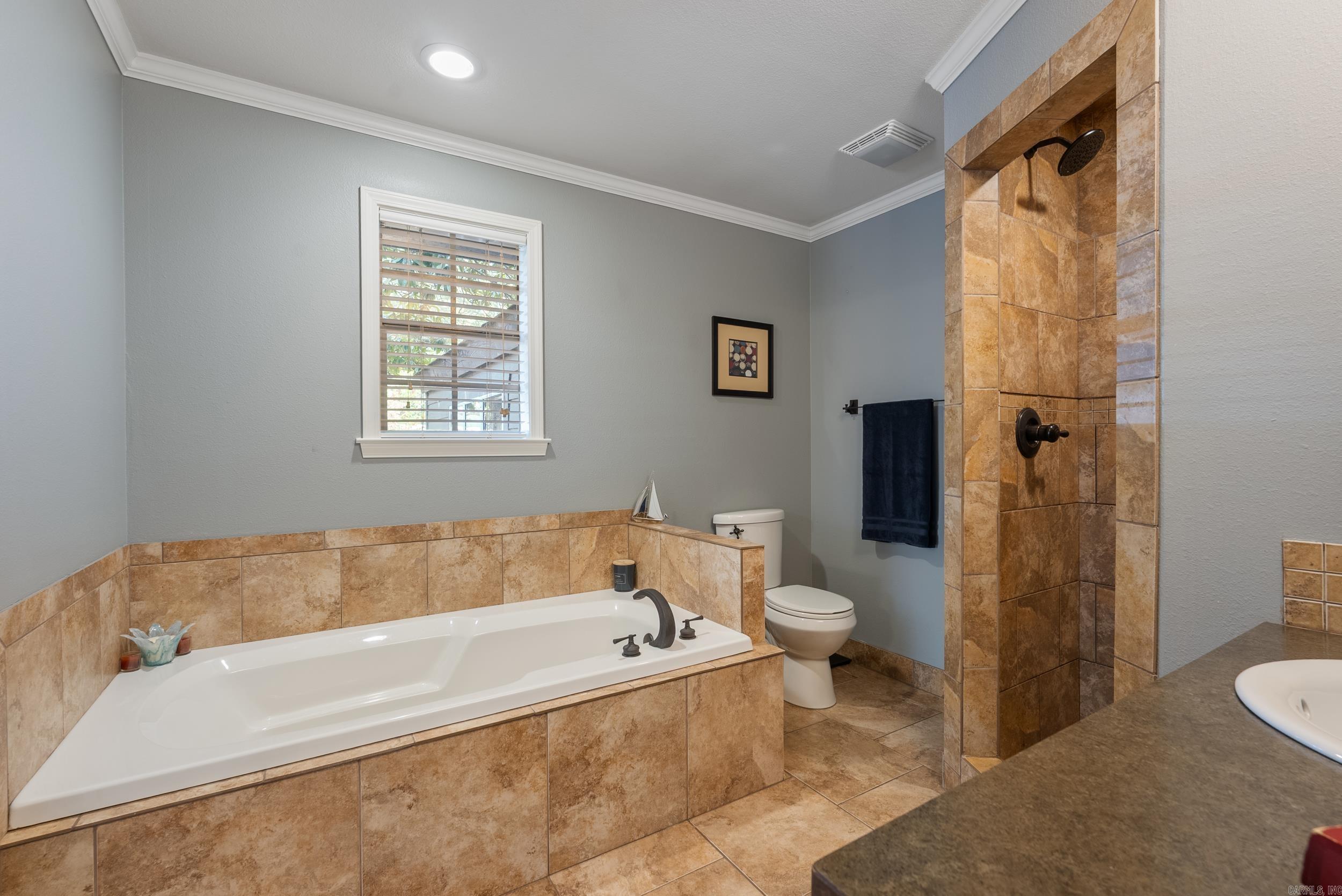 11 Red Oak Drive Conway, AR 72034