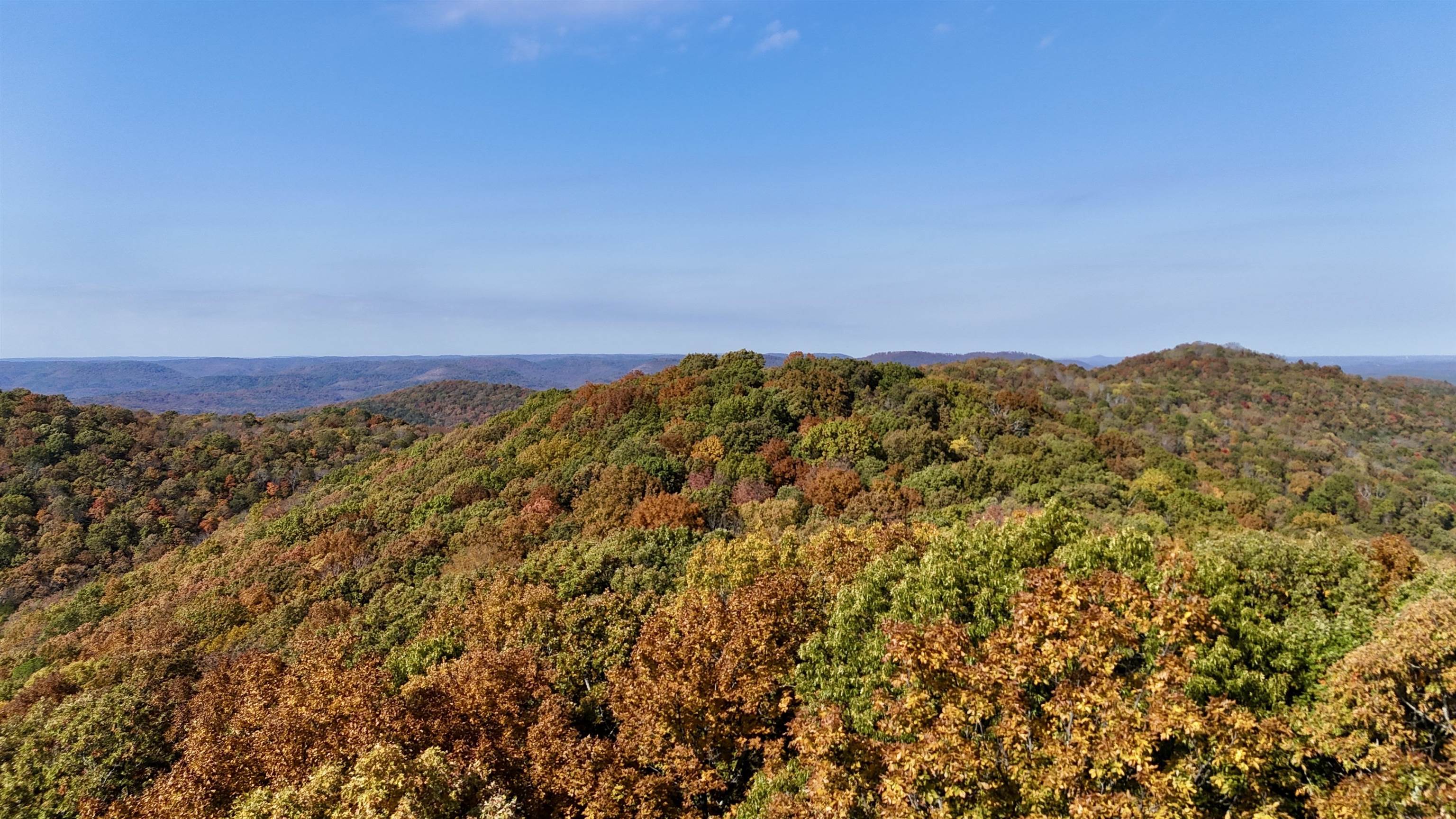 11542 S AR HWY 9 Highway Melbourne, AR 72556