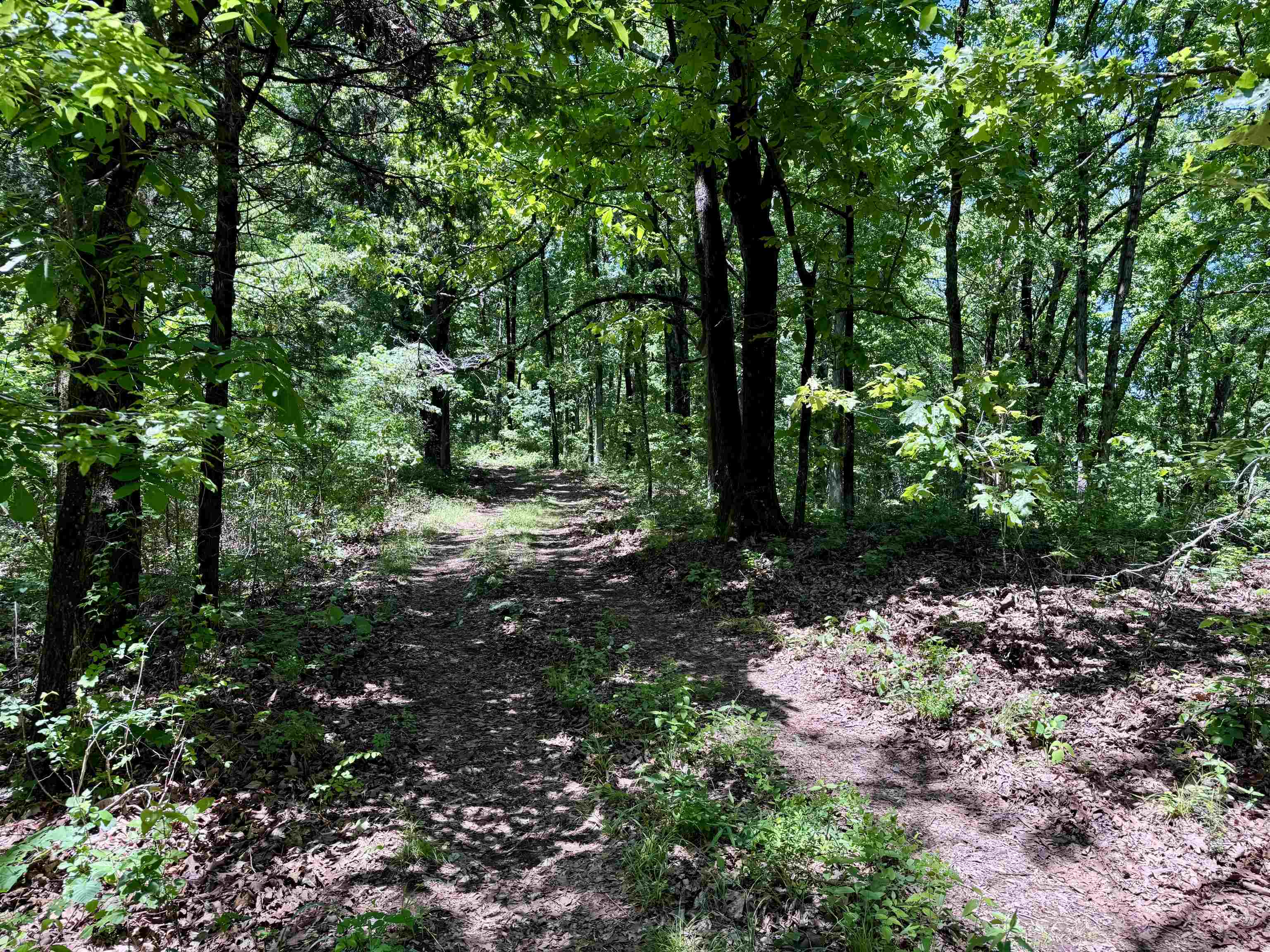 11542 S AR HWY 9 Highway Melbourne, AR 72556