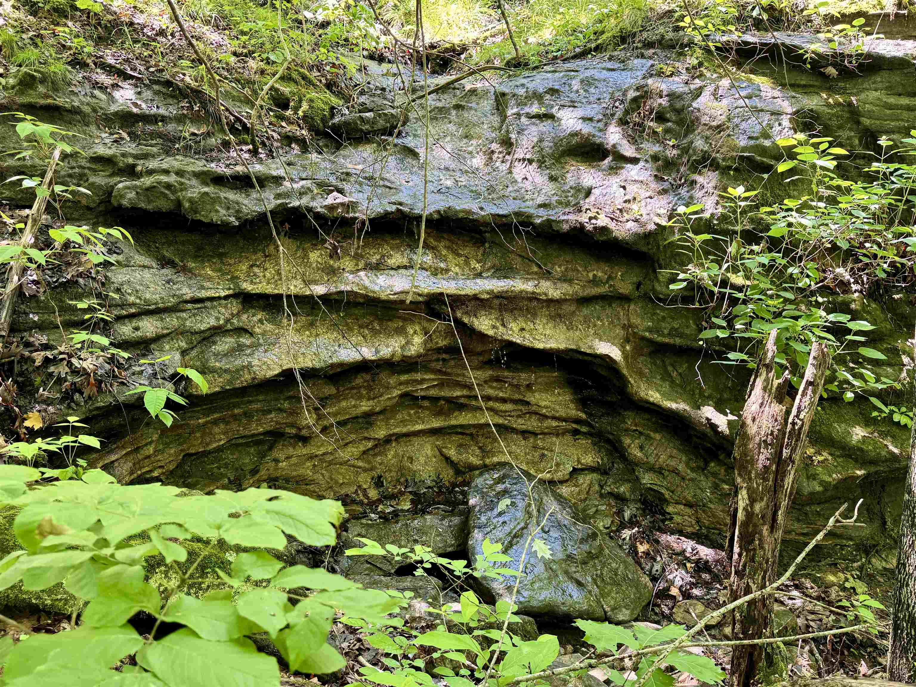 11542 S AR HWY 9 Highway Melbourne, AR 72556